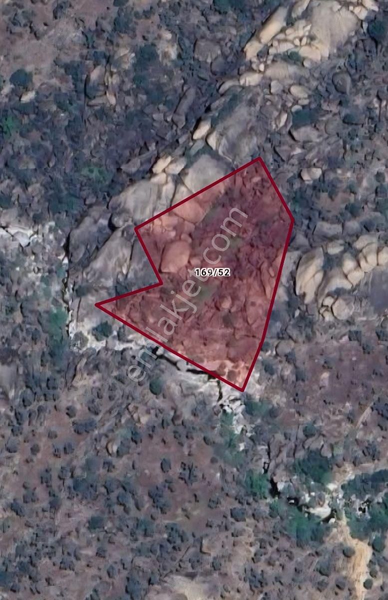 Son Fırsat Fiyat Düştü 5.3 Dönüm Zeytinlik - Görsel 8