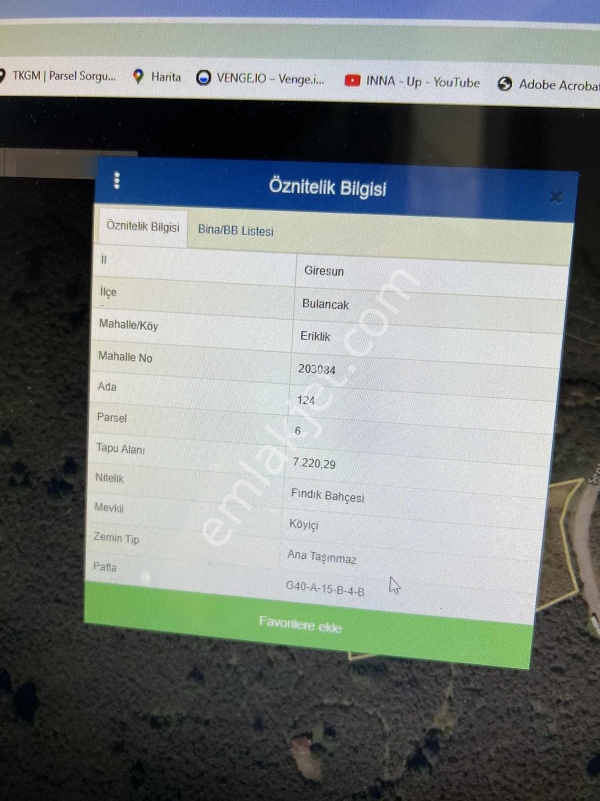 Gökdemir Gayrimenkulden Satılık Fındık Bahcesi - Görsel 29