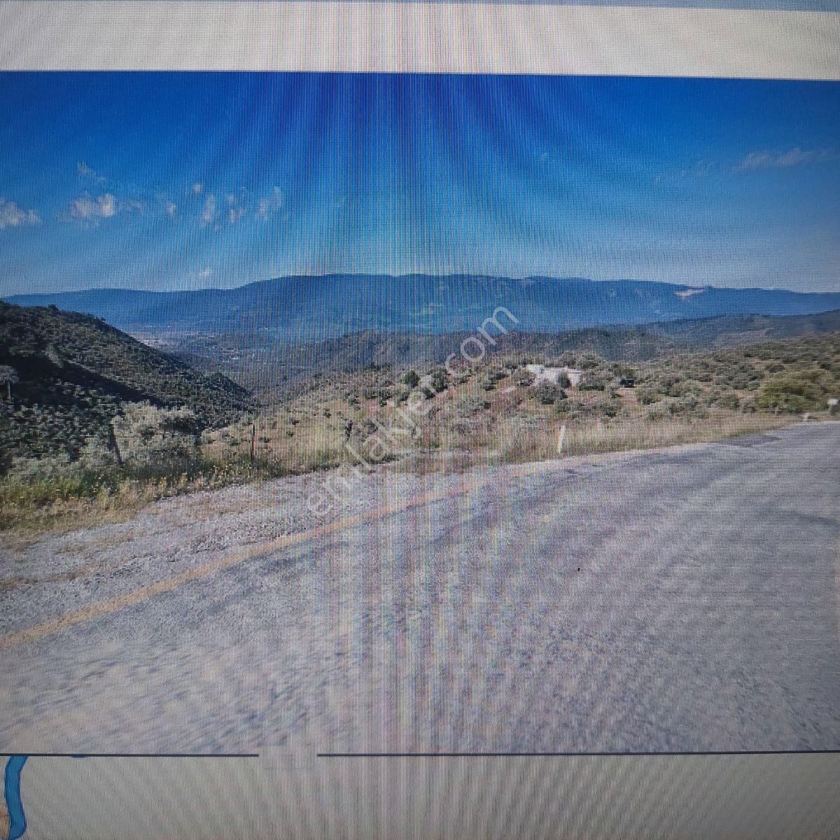 Satılık Tarla Tek Tapu Muğla Milasda 1723 M2 - Görsel 6