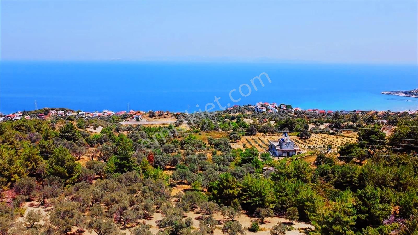 Mordoğan Emlaktan Full Deniz Mnz 2720 M2 Satılık Z.ağaçlı Tarla - Görsel 6