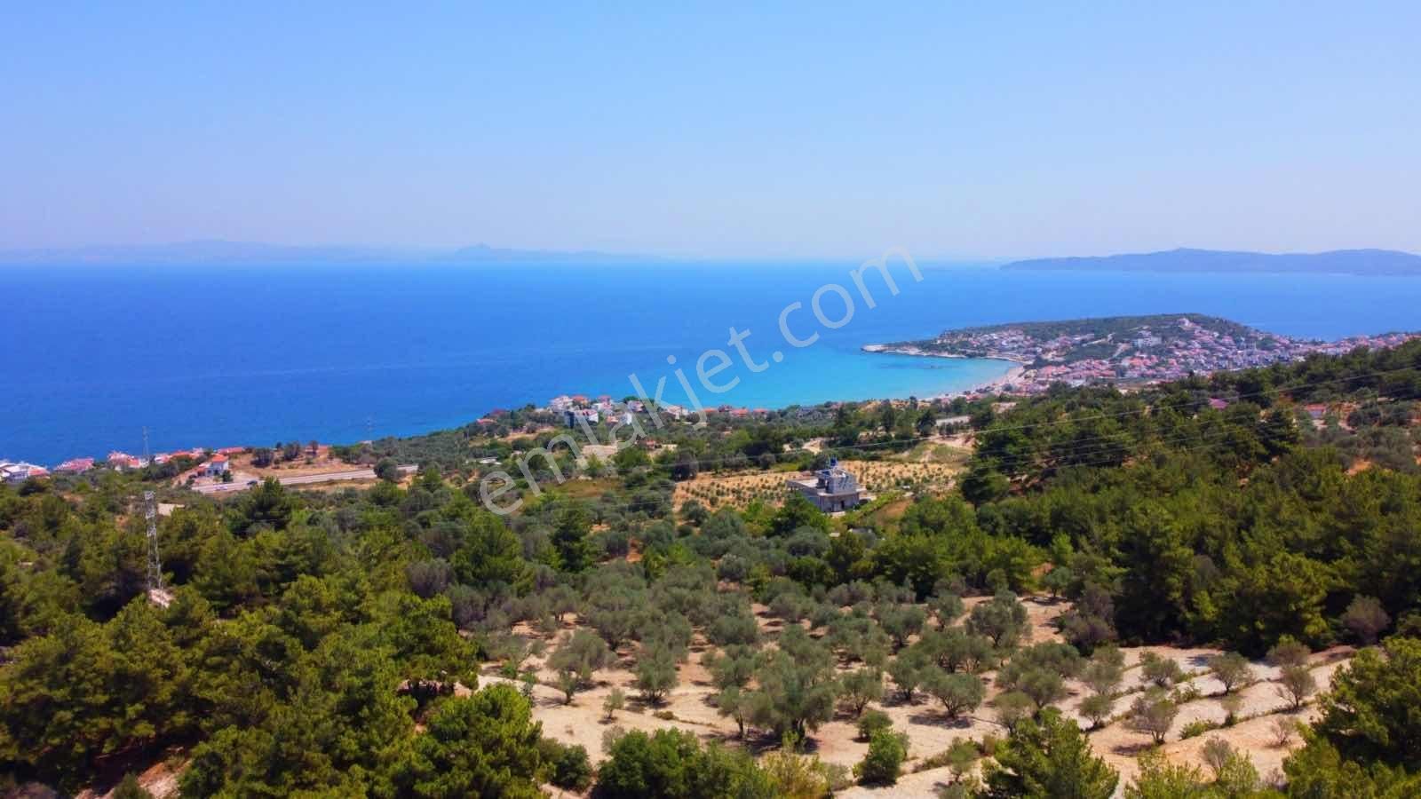 Mordoğan Emlaktan Full Deniz Mnz 2720 M2 Satılık Z.ağaçlı Tarla - Görsel 16