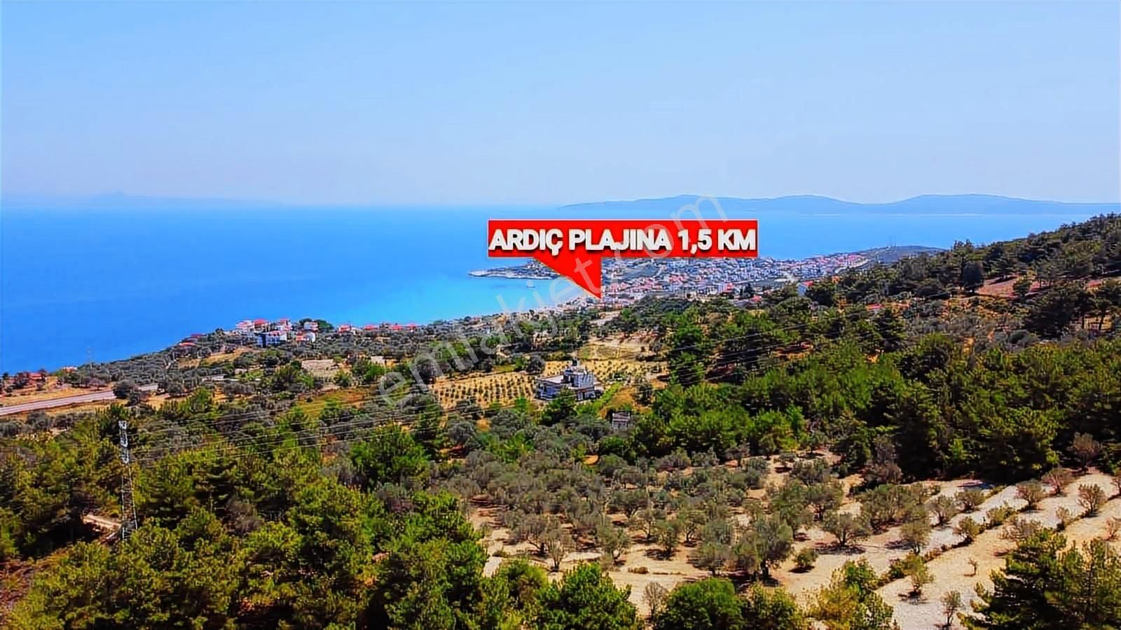 Mordoğan Emlaktan Full Deniz Mnz 2720 M2 Satılık Z.ağaçlı Tarla - Görsel 11