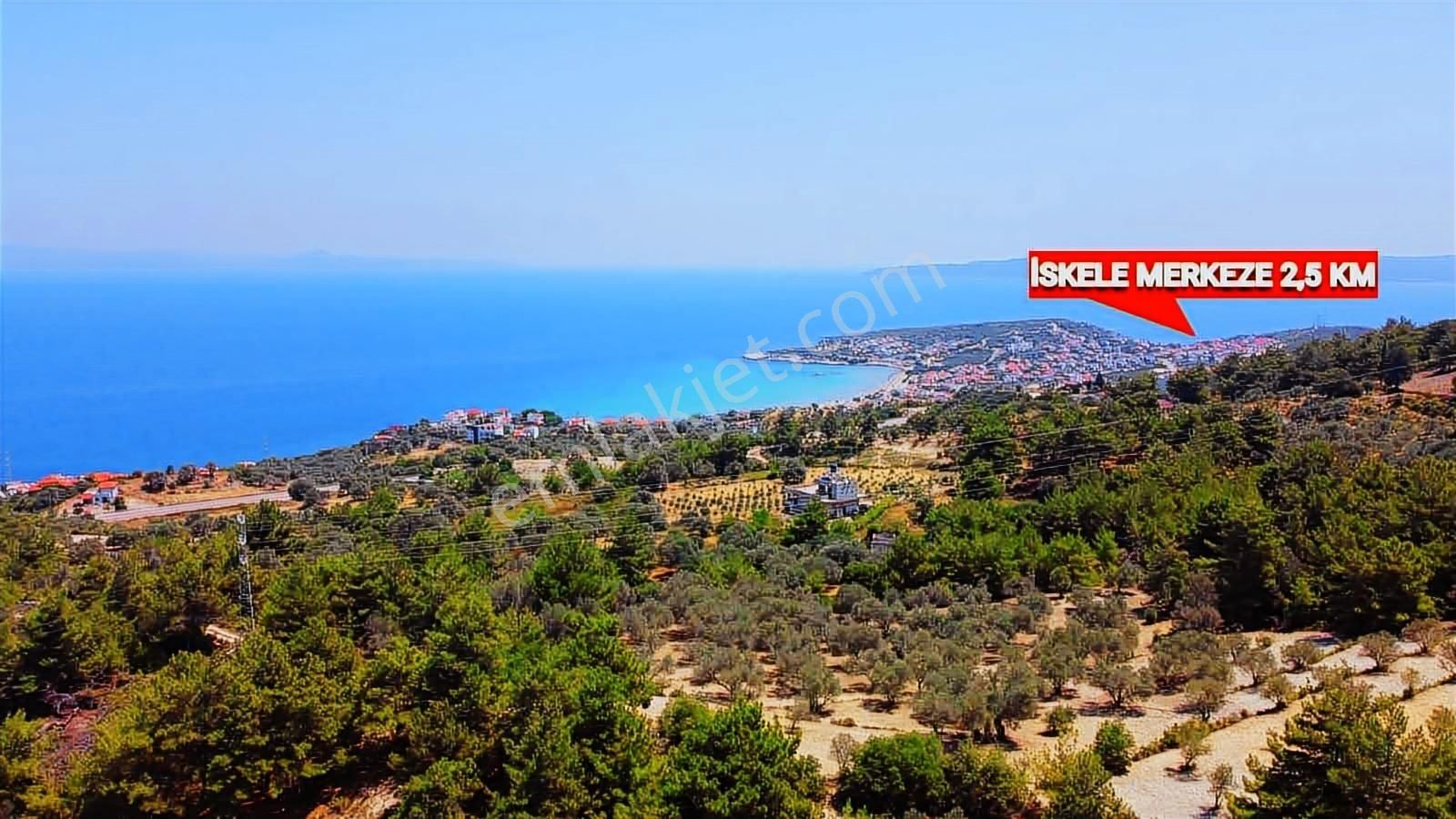 Mordoğan Emlaktan Full Deniz Mnz 5800 M2 Satılık Z.ağaçlı Tarla - Görsel 12