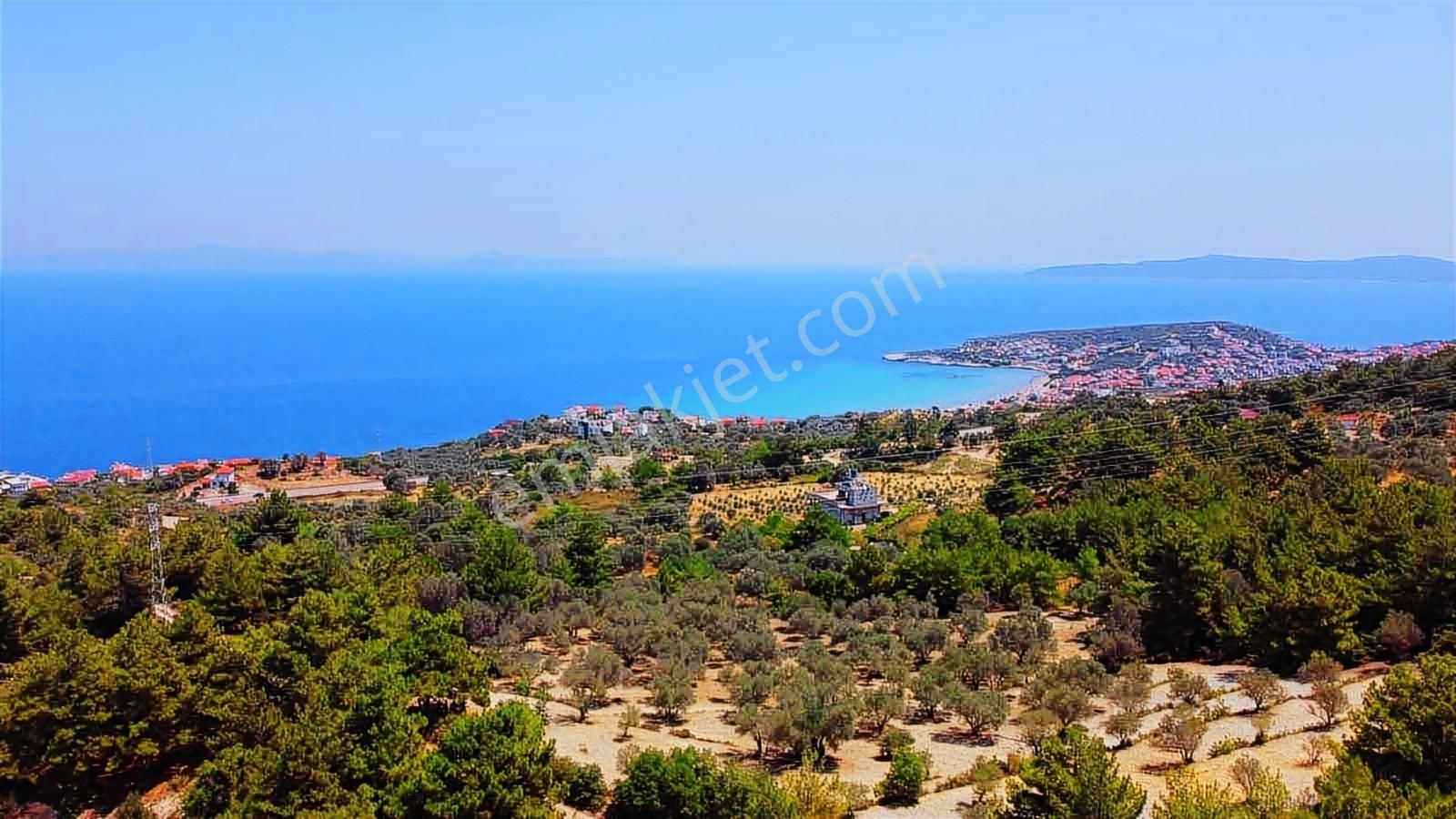 Mordoğan Emlaktan Full Deniz Mnz 5800 M2 Satılık Z.ağaçlı Tarla - Görsel 16