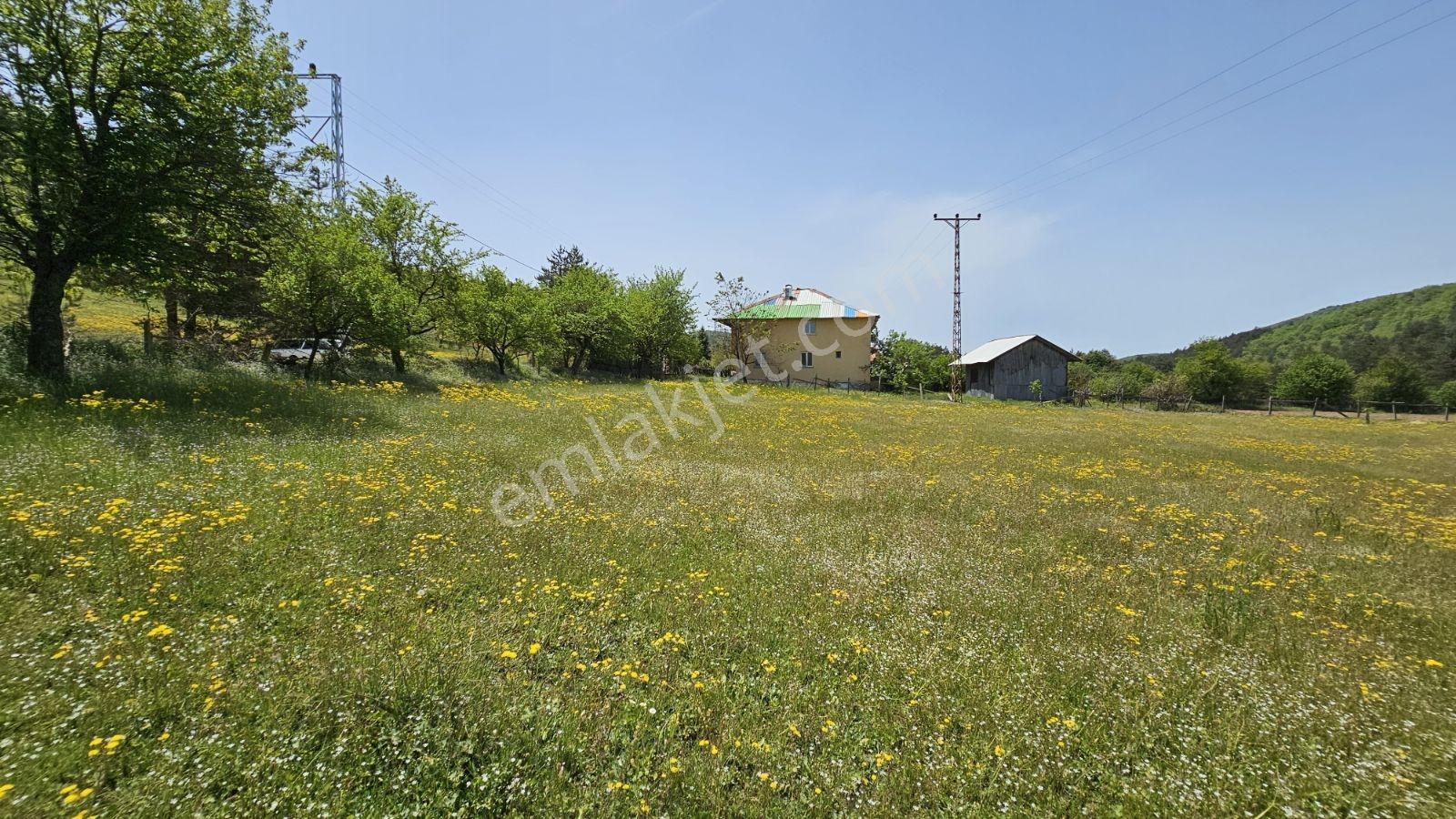 Acara'dan İznik Elmalı'da 3 Villalık/1.5 Dönüm İmarlı Arsa - Görsel 9