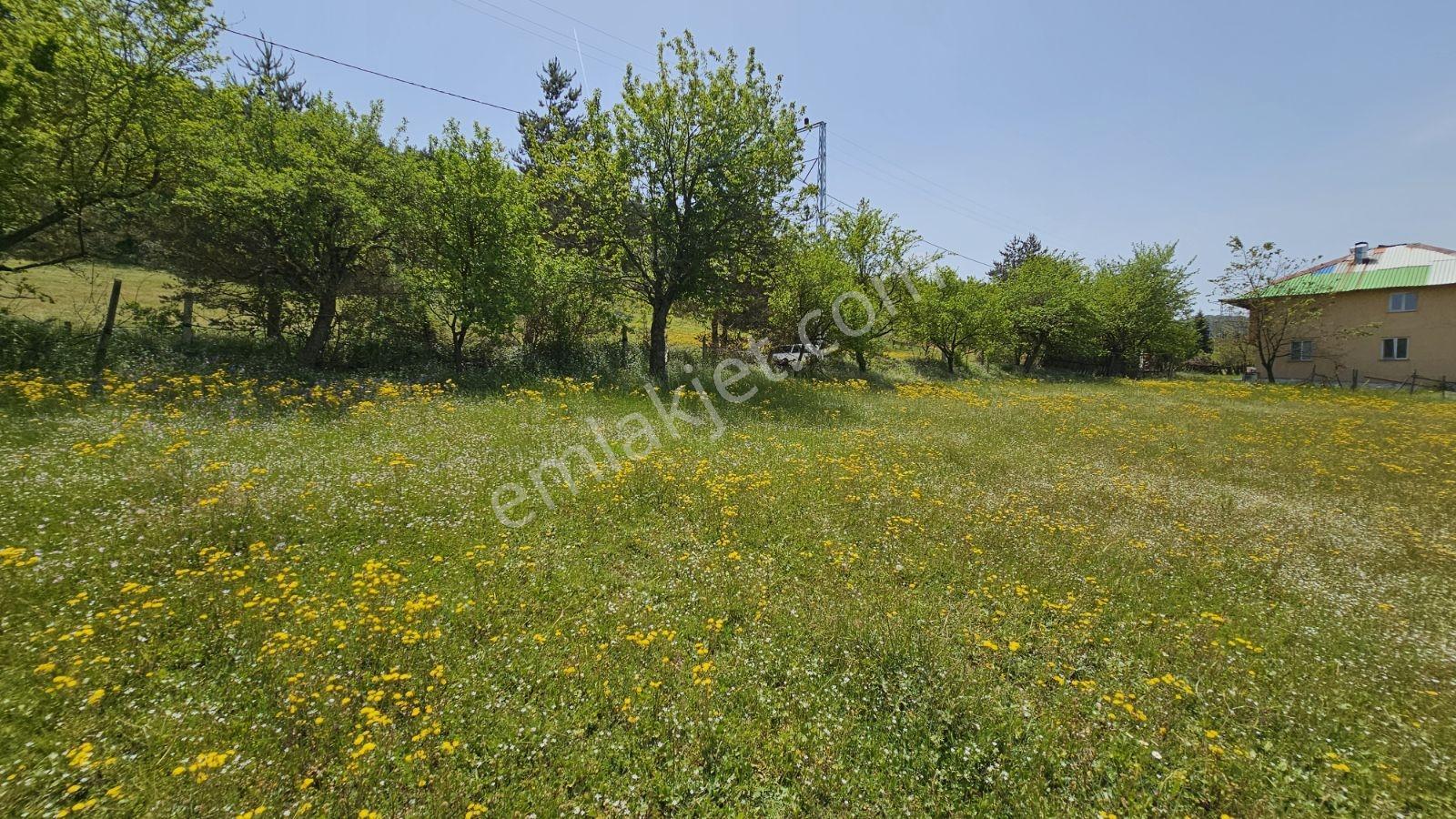 Acara'dan İznik Elmalı'da 3 Villalık/1.5 Dönüm İmarlı Arsa - Görsel 18