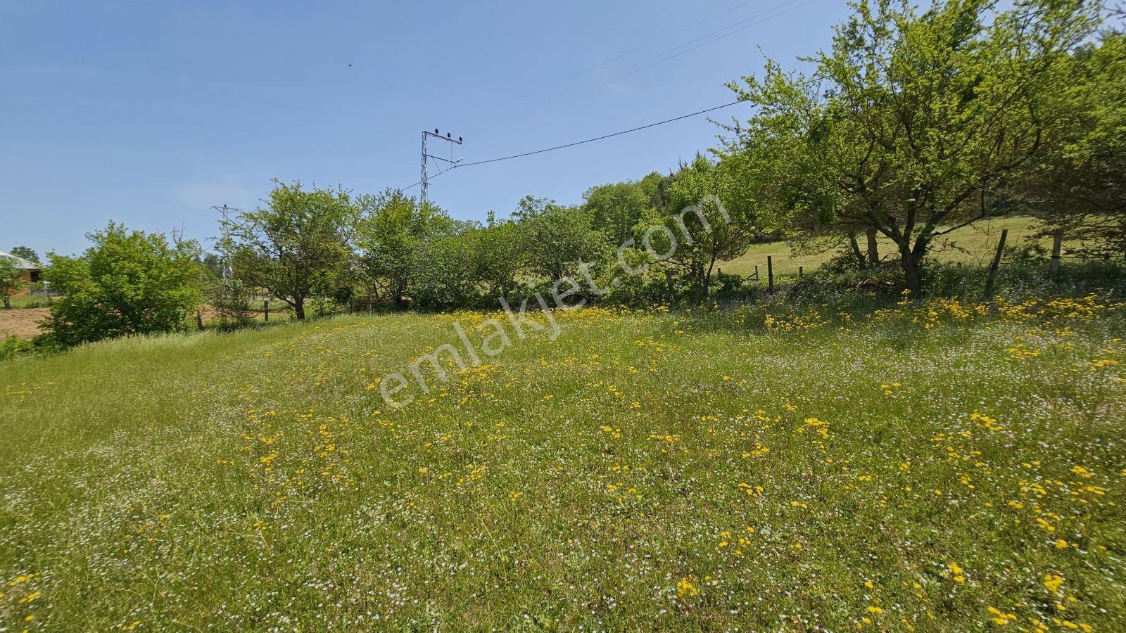 Acara'dan İznik Elmalı'da 3 Villalık/1.5 Dönüm İmarlı Arsa - Görsel 28