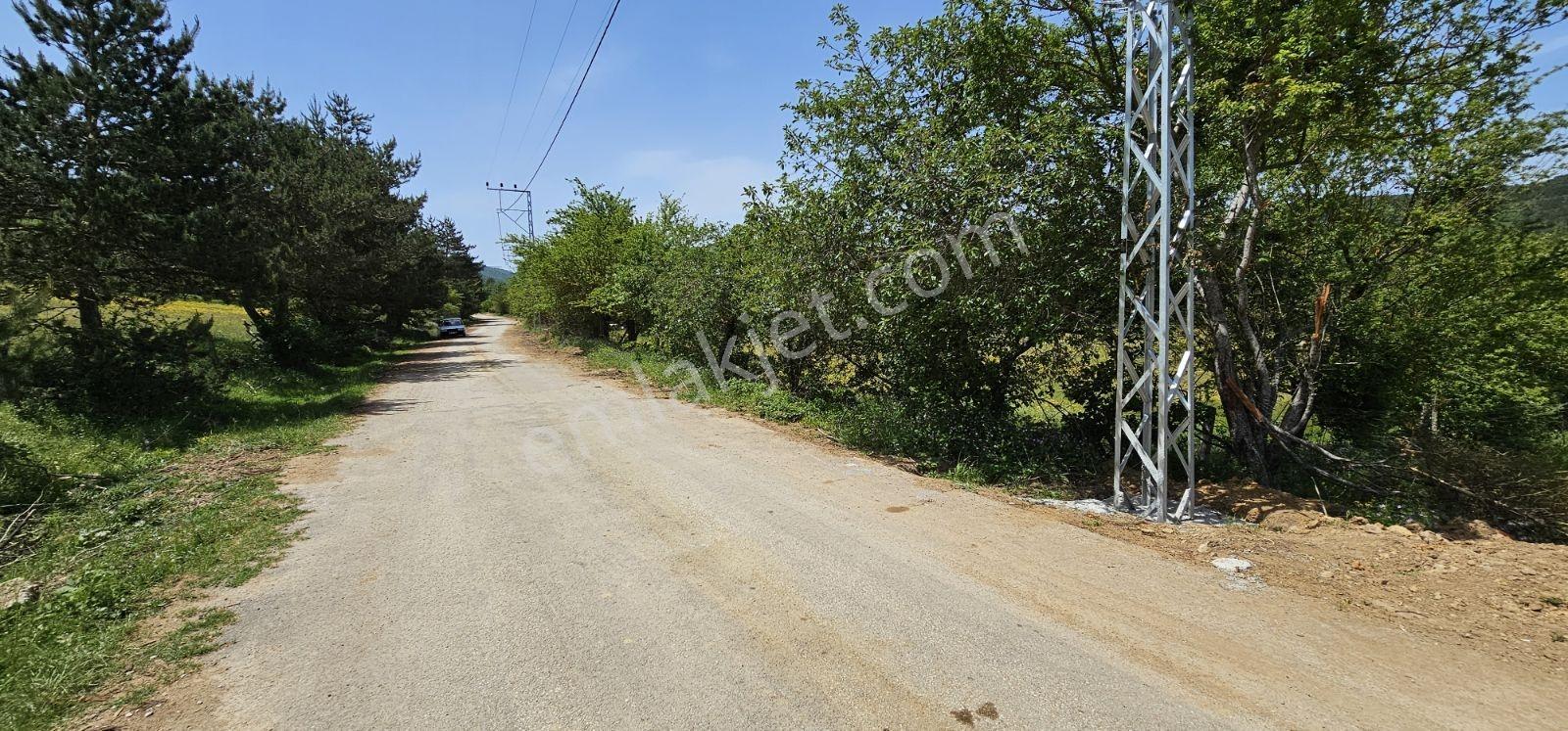 Acara'dan İznik Elmalı'da 3 Villalık/1.5 Dönüm İmarlı Arsa - Görsel 3