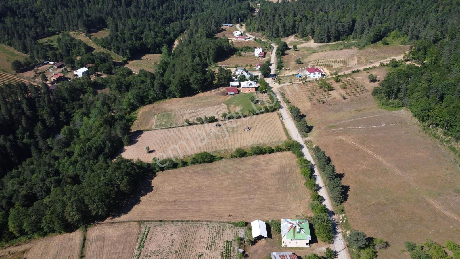 Acara'dan İznik Elmalı'da 3 Villalık/1.5 Dönüm İmarlı Arsa - Görsel 5