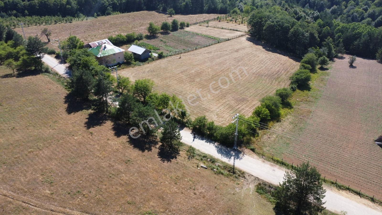 Acara'dan İznik Elmalı'da 3 Villalık/1.5 Dönüm İmarlı Arsa - Görsel 11