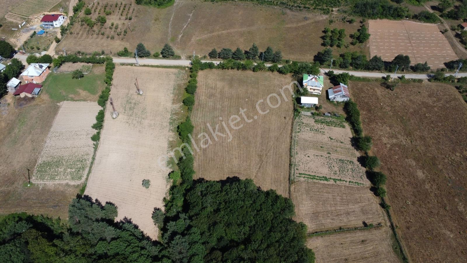 Acara'dan İznik Elmalı'da 3 Villalık/1.5 Dönüm İmarlı Arsa - Görsel 8