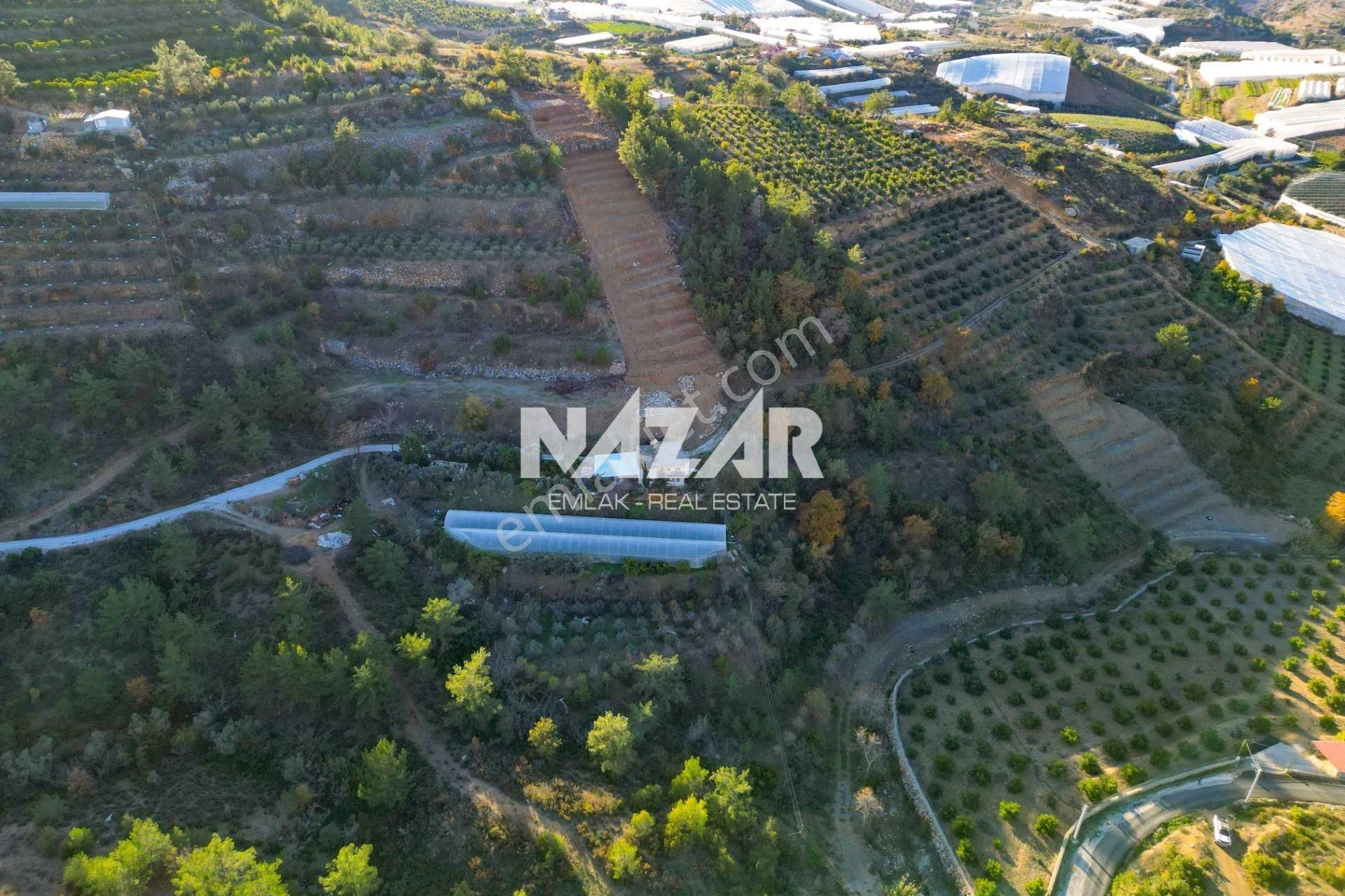 Alanya İmamlı’da 4.530 M² Satılık Tarla - Görsel 15