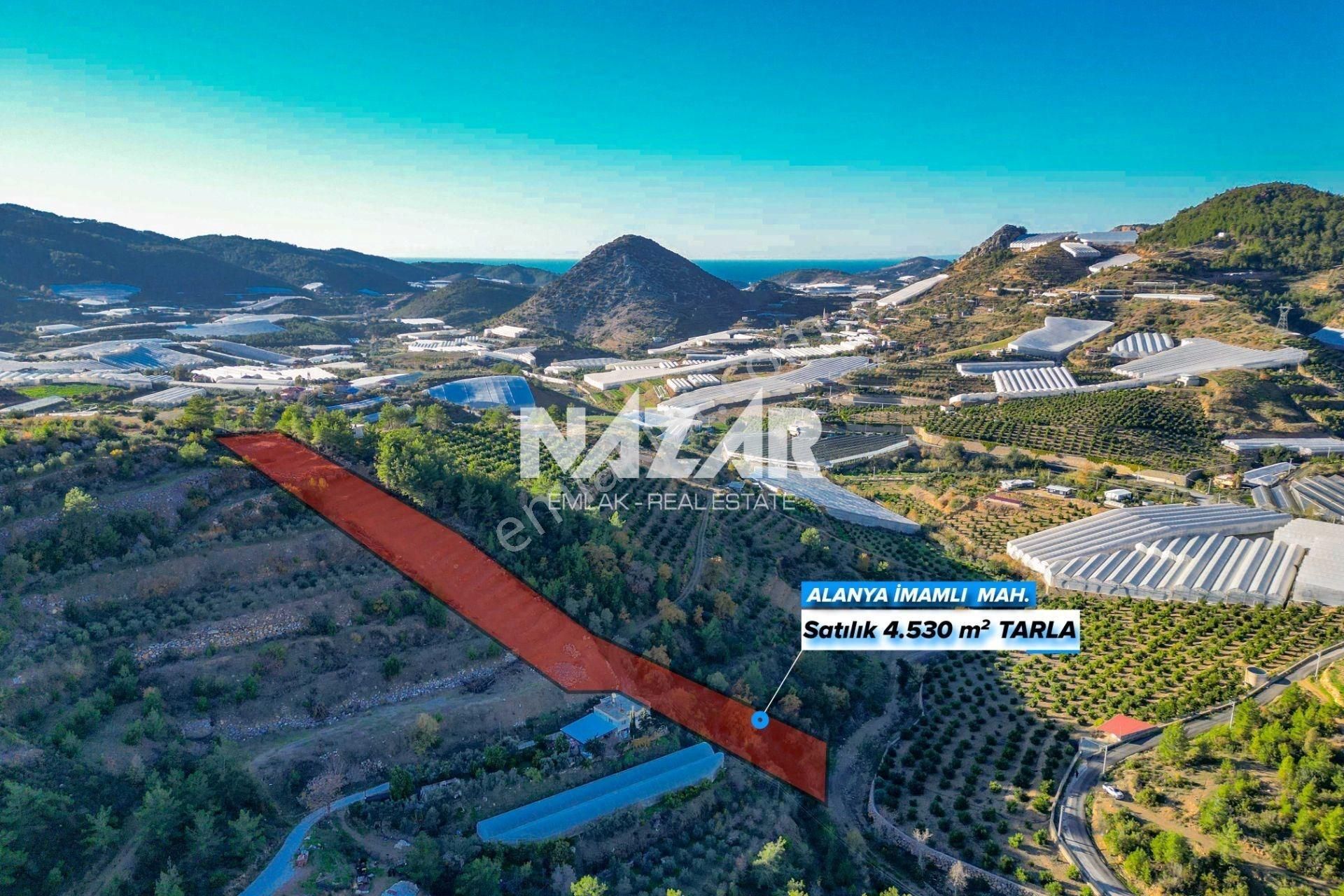Alanya İmamlı’da 4.530 M² Satılık Tarla - Görsel 2