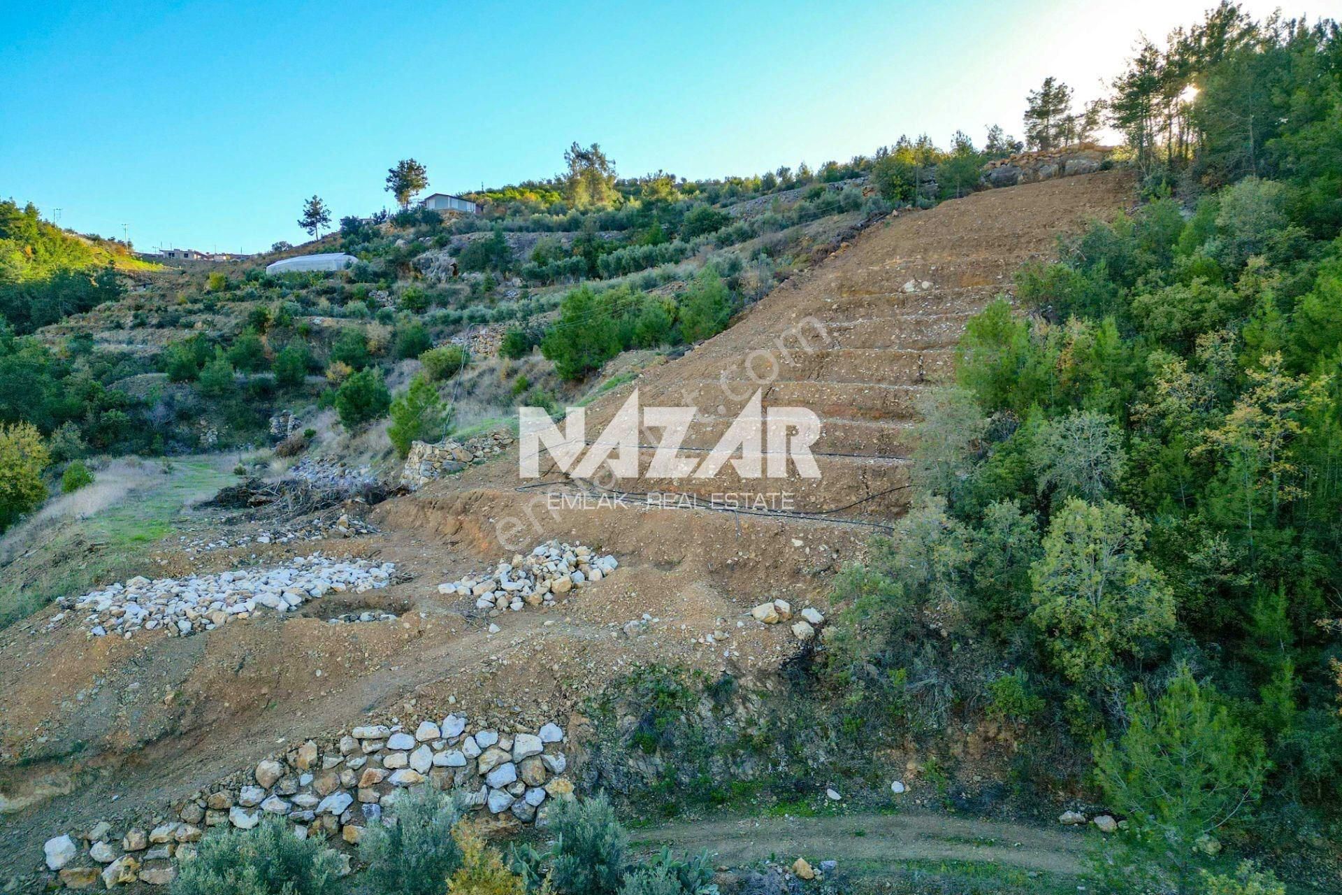 Alanya İmamlı’da 4.530 M² Satılık Tarla - Görsel 8