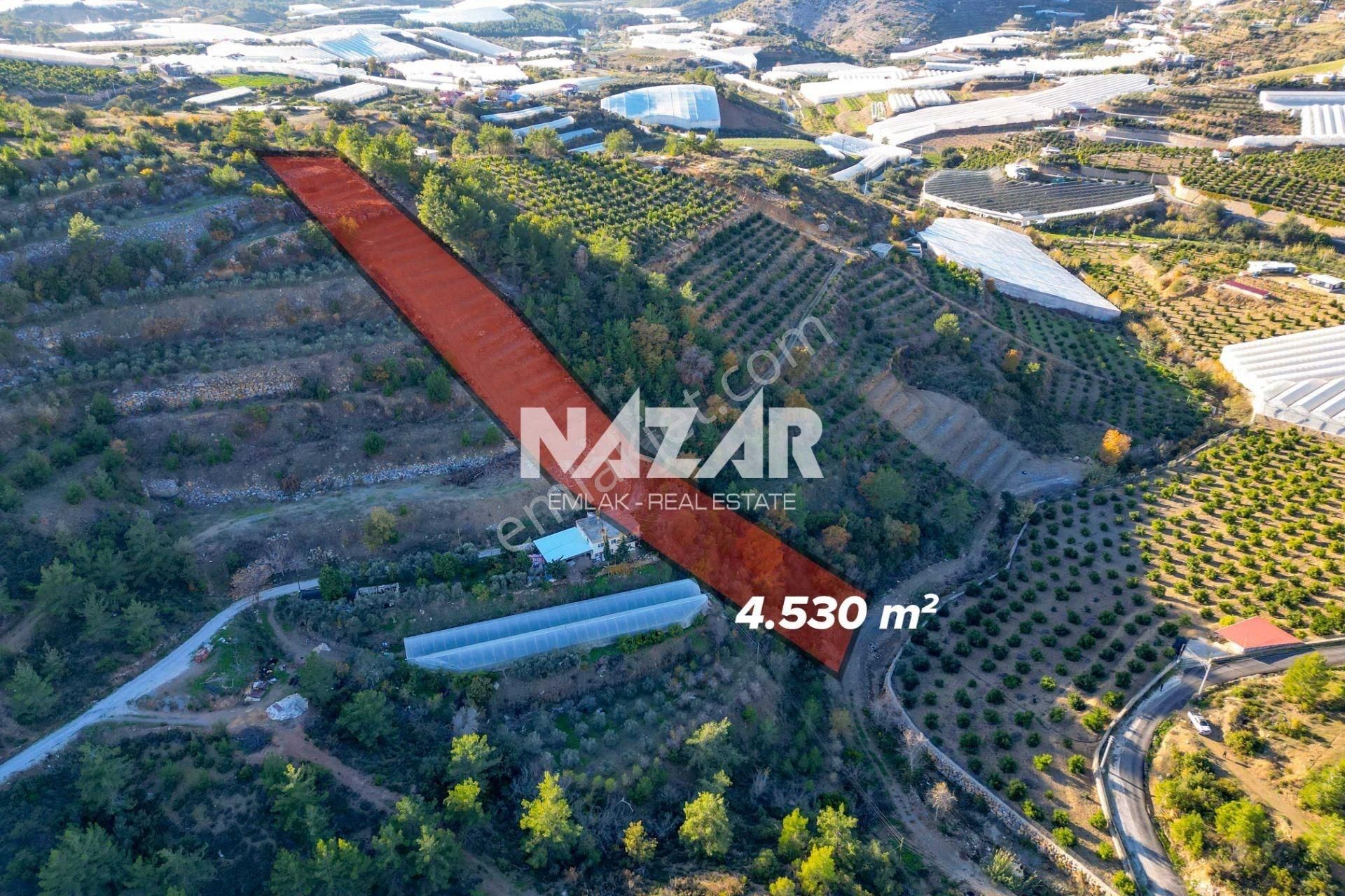 Alanya İmamlı’da 4.530 M² Satılık Tarla - Görsel 4