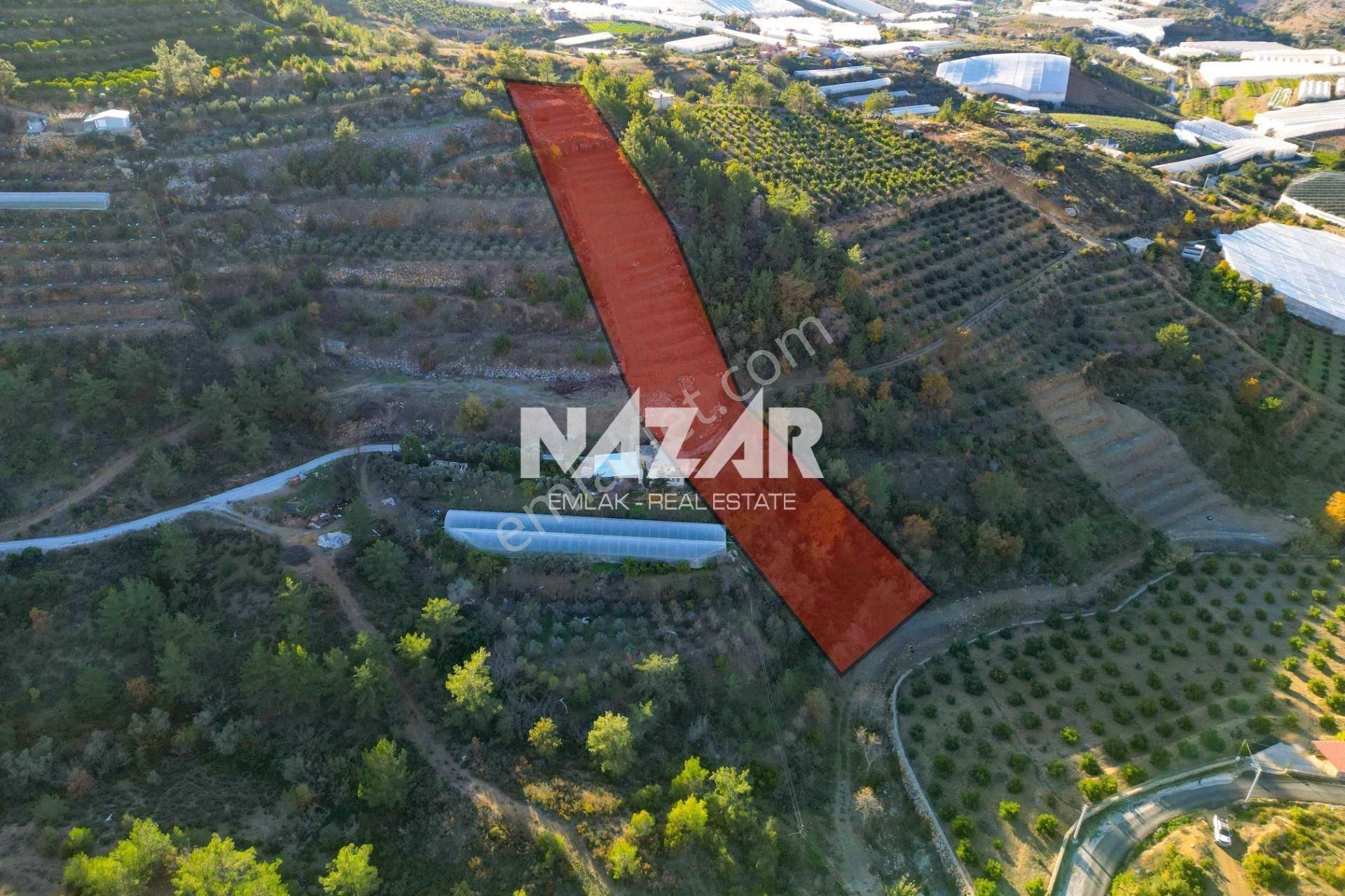 Alanya İmamlı’da 4.530 M² Satılık Tarla - Görsel 5