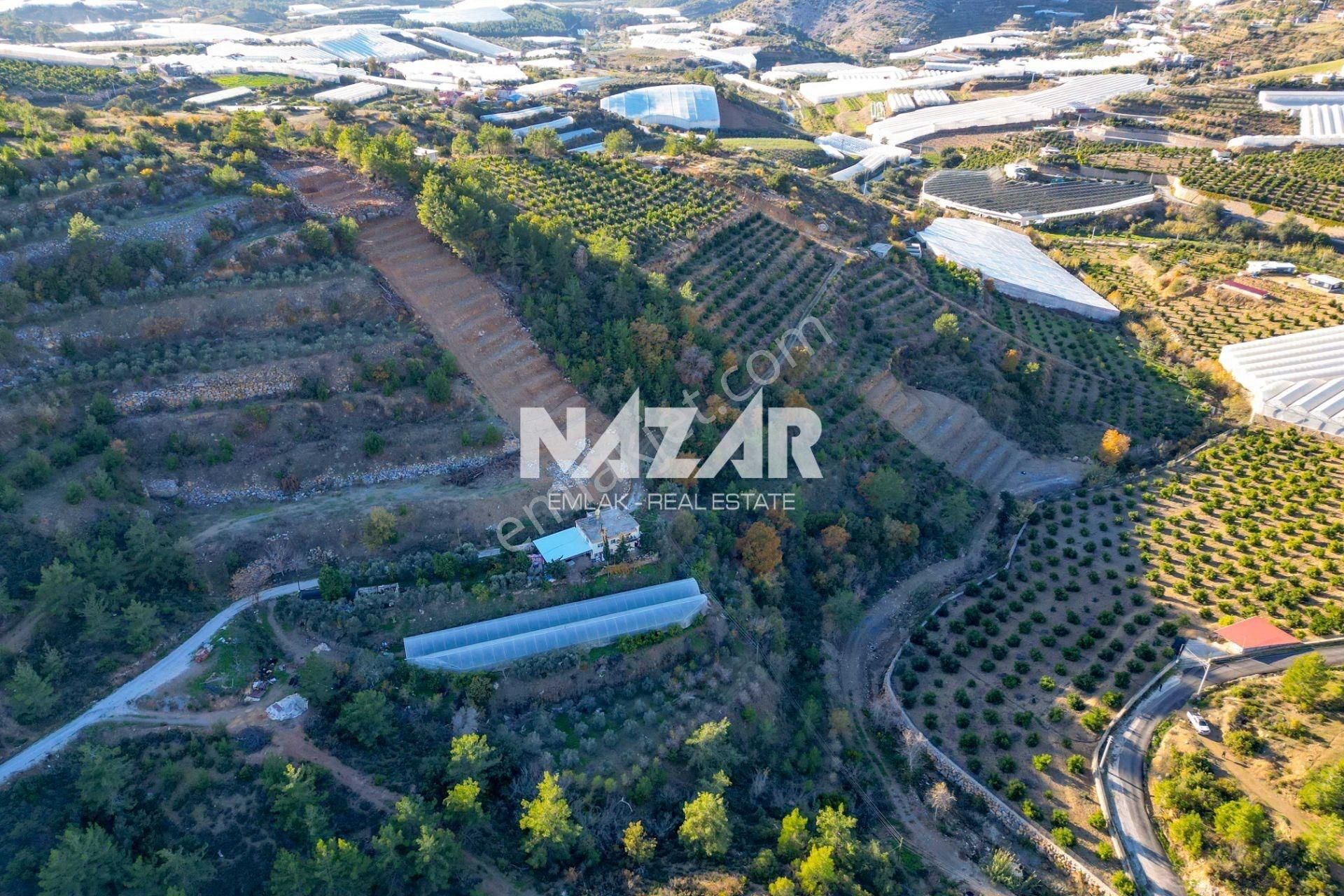 Alanya İmamlı’da 4.530 M² Satılık Tarla - Görsel 14