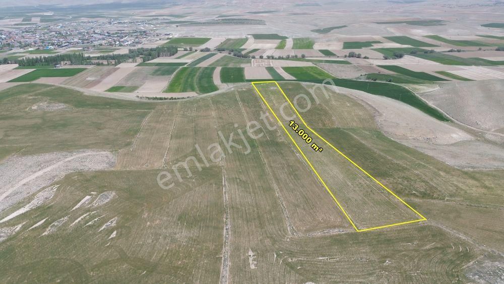 Meram Kavak Da 13.000 M2 Müstakil Tapulu Tarla - Görsel 3