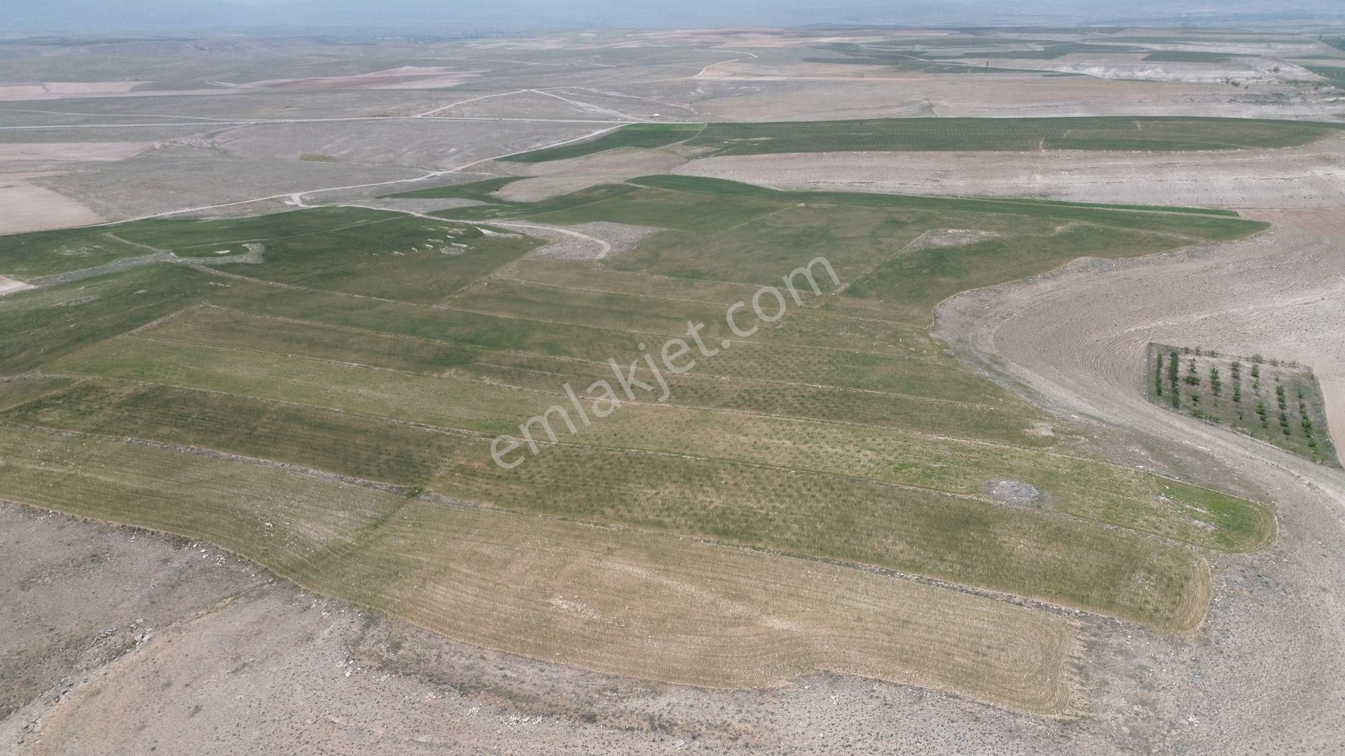Meram Kavak Da 13.000 M2 Müstakil Tapulu Tarla - Görsel 4