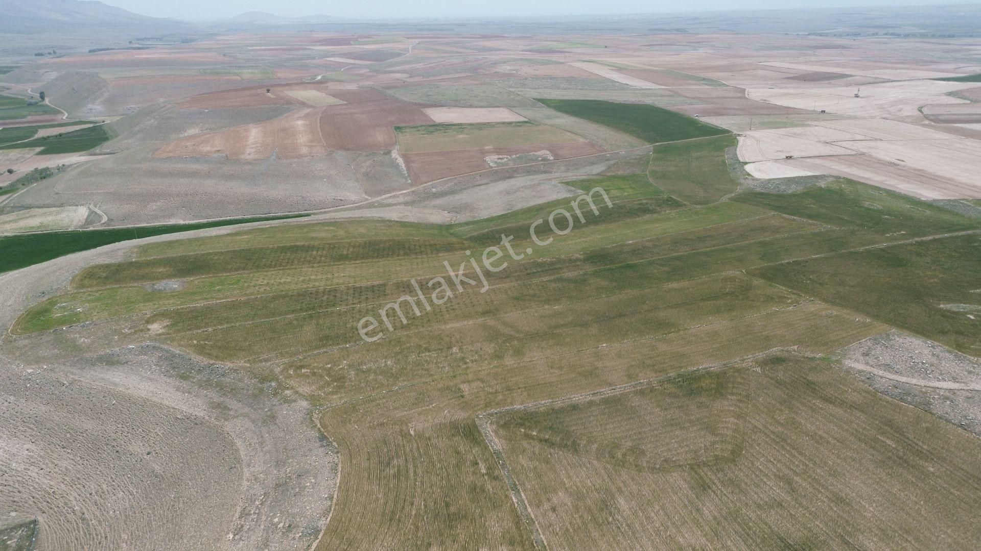 Meram Kavak Da 13.000 M2 Müstakil Tapulu Tarla - Görsel 2