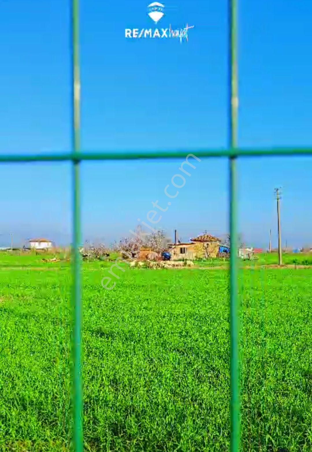 İzmir Ödemiş Konaklı'da Satılık Çiftlik - Görsel 11