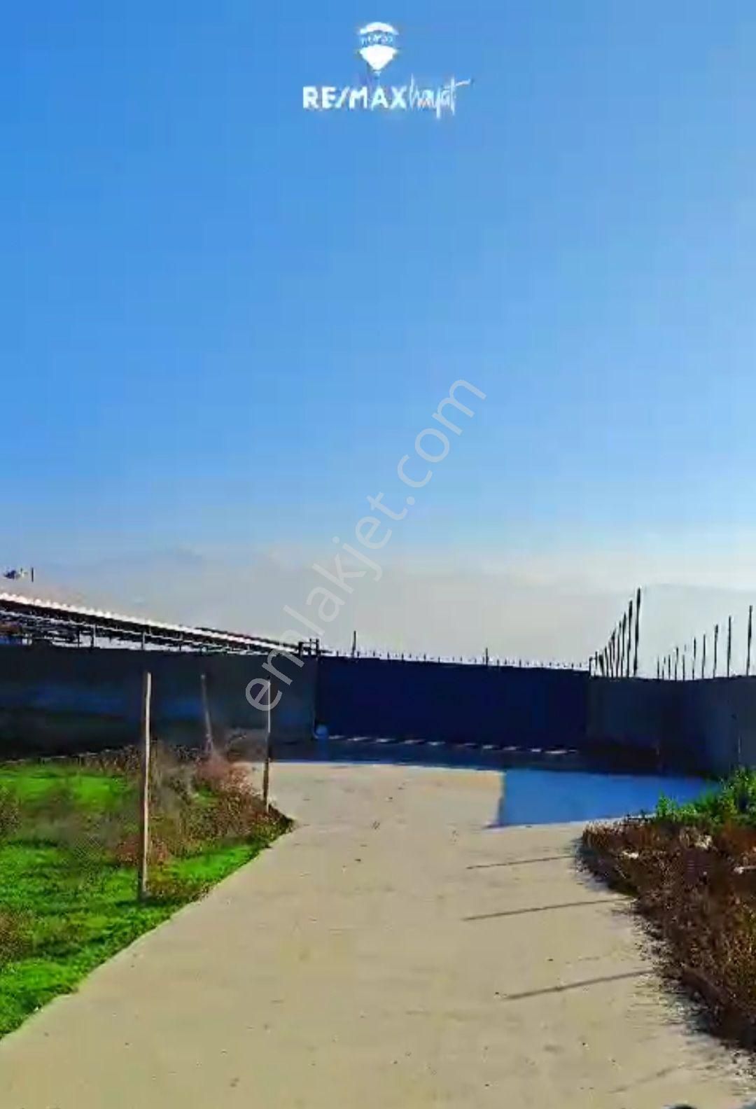 İzmir Ödemiş Konaklı'da Satılık Çiftlik - Görsel 13