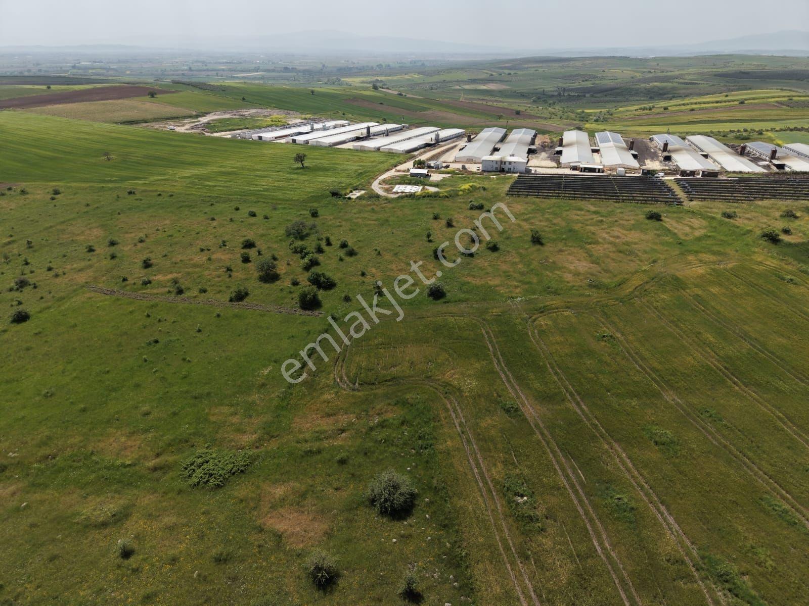 Rw Land Gayrimenkul Karacabey Tophisar Kupon Arazi Fırsat - Görsel 4