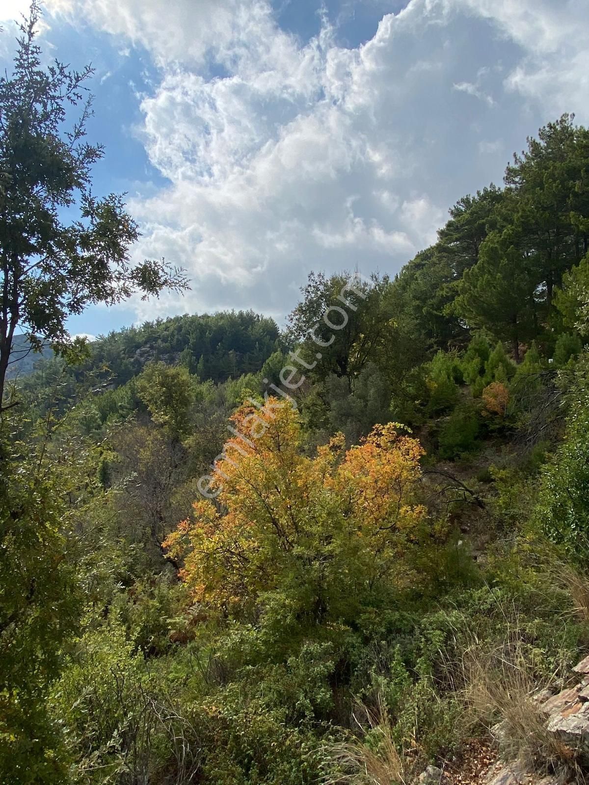 Antalya Alanya Bademağacı İndirim Acil Satılık Arsa Tarla - Görsel 2