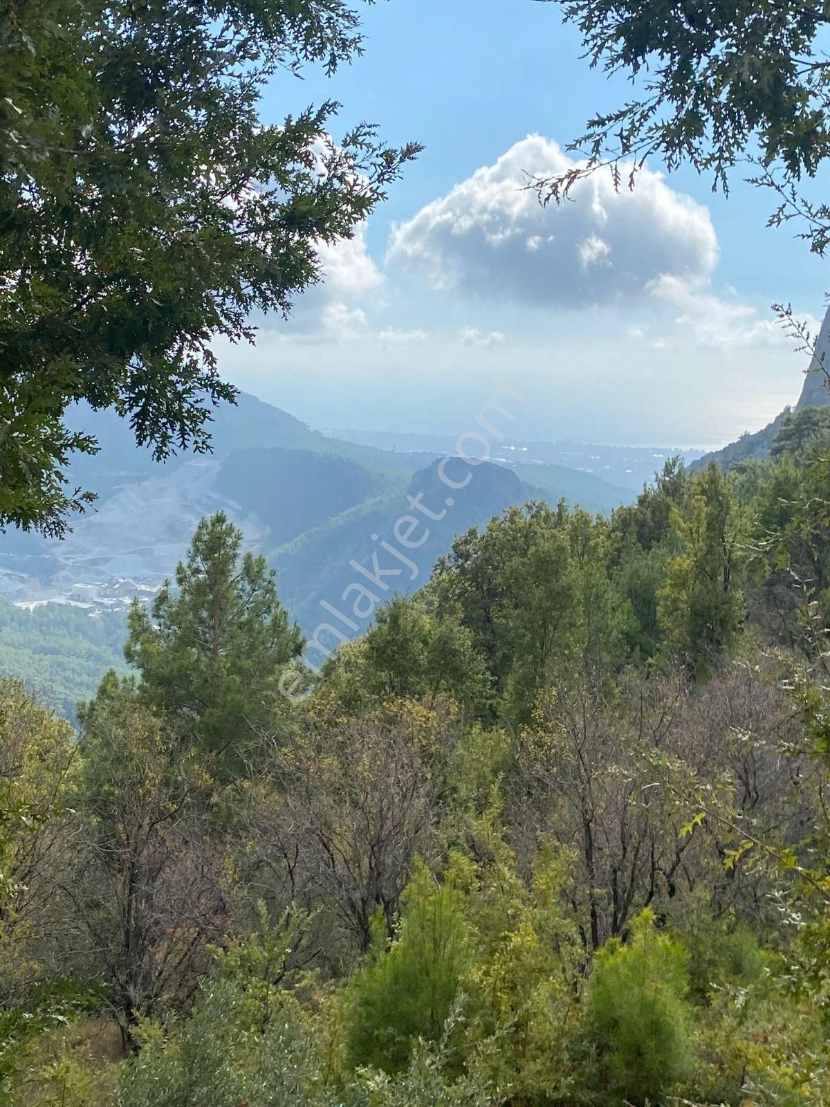 Antalya Alanya Bademağacı İndirim Acil Satılık Arsa Tarla