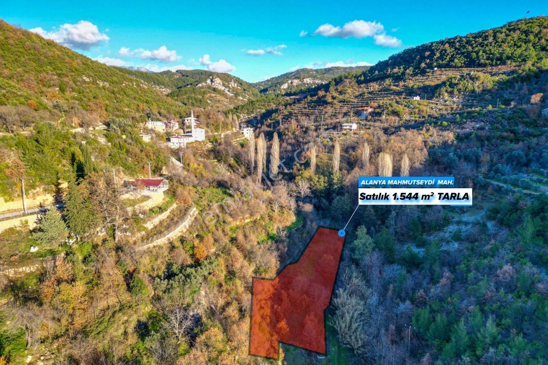 Alanya Mahmutseydi’de 1.544 M² Satılık Tarla - Görsel 2