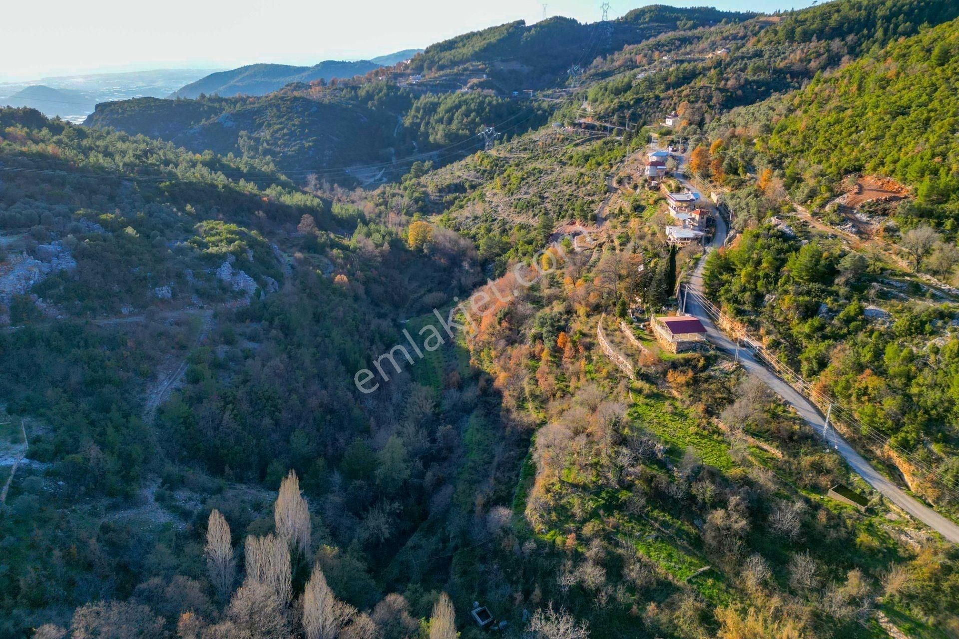Alanya Mahmutseydi’de 1.544 M² Satılık Tarla - Görsel 12
