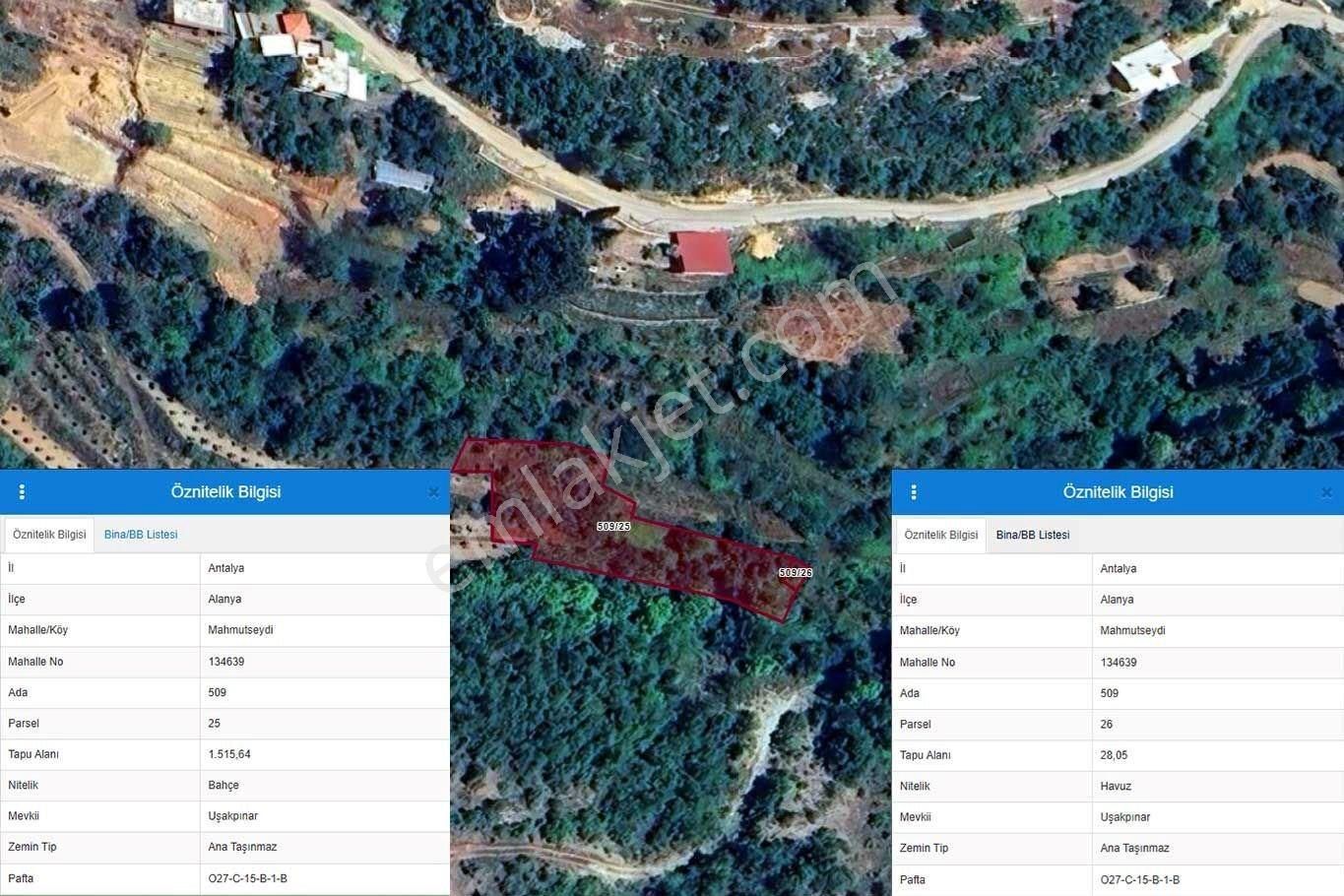 Alanya Mahmutseydi’de 1.544 M² Satılık Tarla - Görsel 14