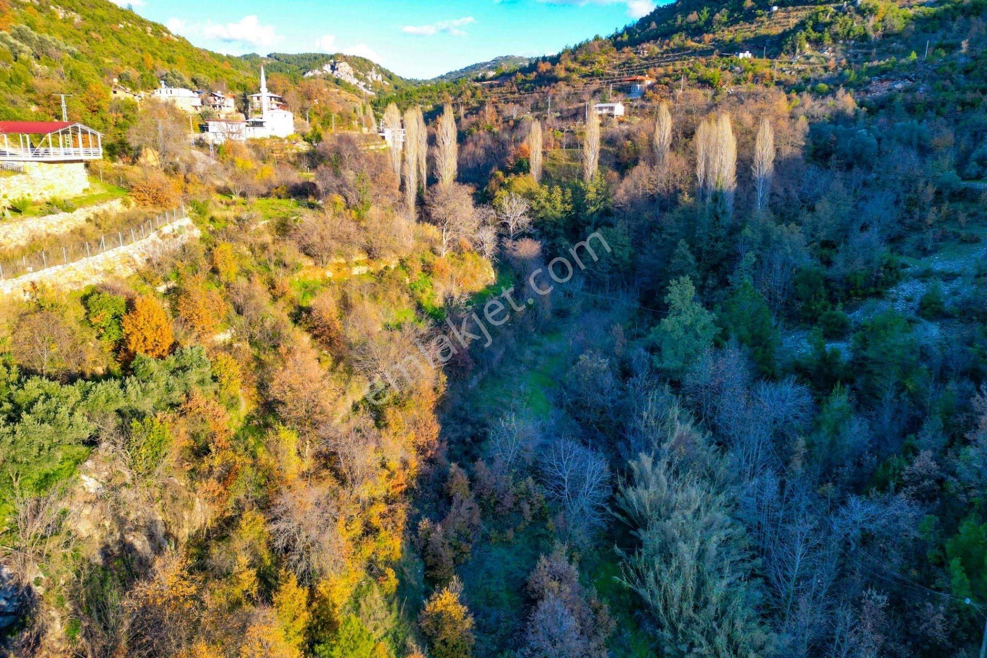 Alanya Mahmutseydi’de 1.544 M² Satılık Tarla - Görsel 6