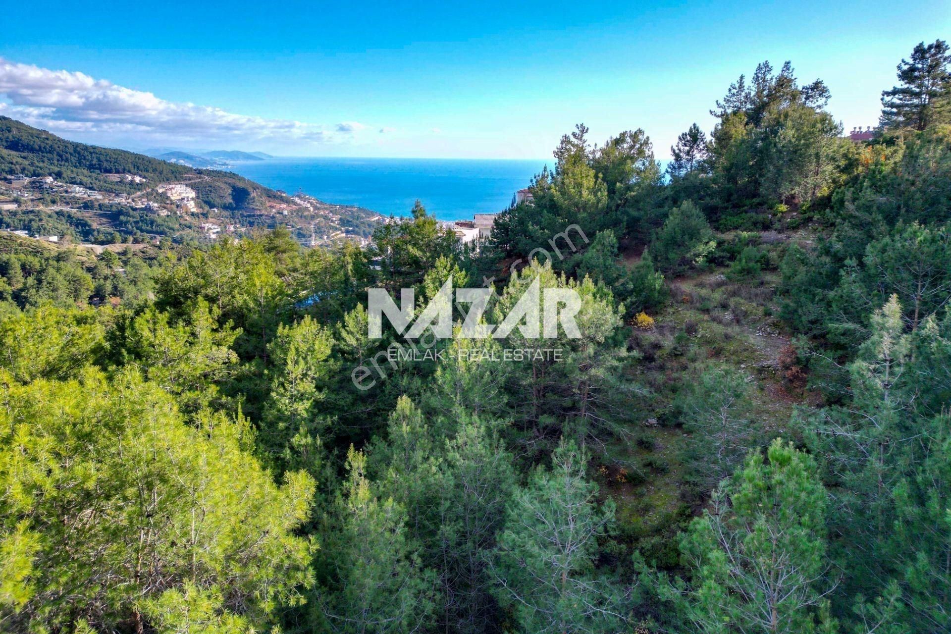 Alanya Tepe Mahallesi’nde 1.028 M² Satılık İmarlı Arsa - Görsel 15