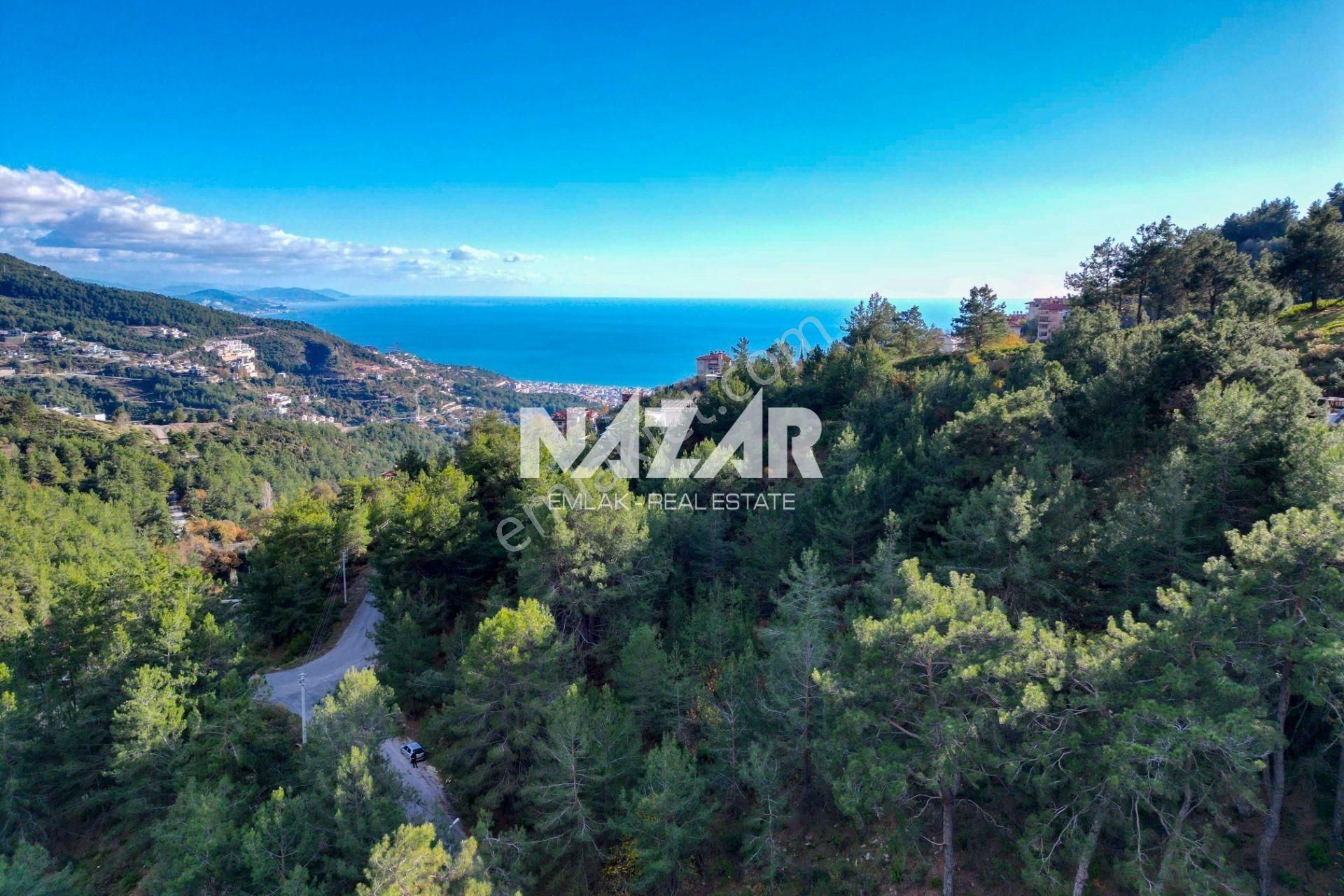Alanya Tepe Mahallesi’nde 1.028 M² Satılık İmarlı Arsa - Görsel 10