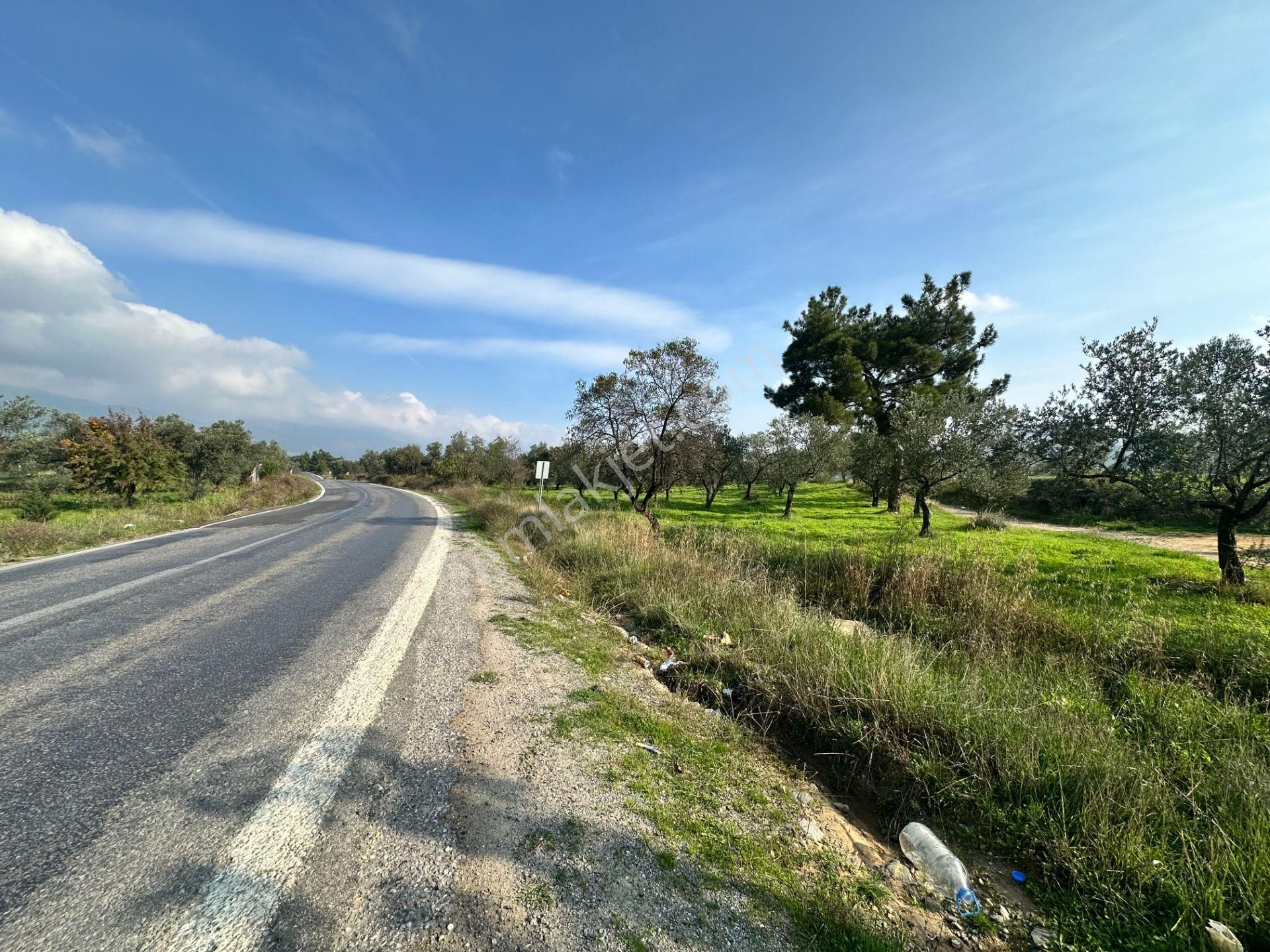 Mera Emlaktan Çamcı Mh Asfalt Cepheli 7.700m2 Müstakil Zeytinlik - Görsel 18