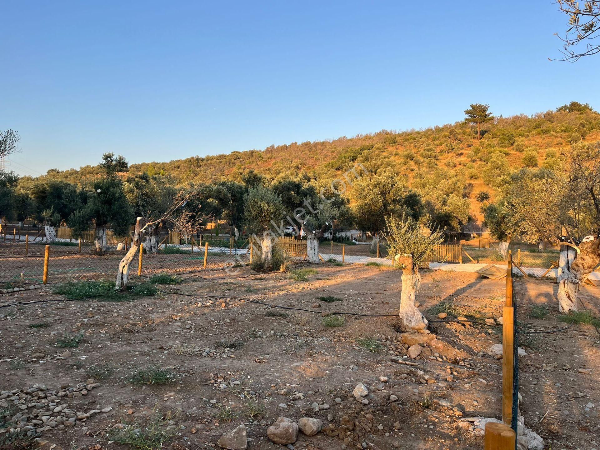 Parstan Akçaya Sınır Cemil Temelde Doğayla İç İçe Hobi Bahçeleri - Görsel 17