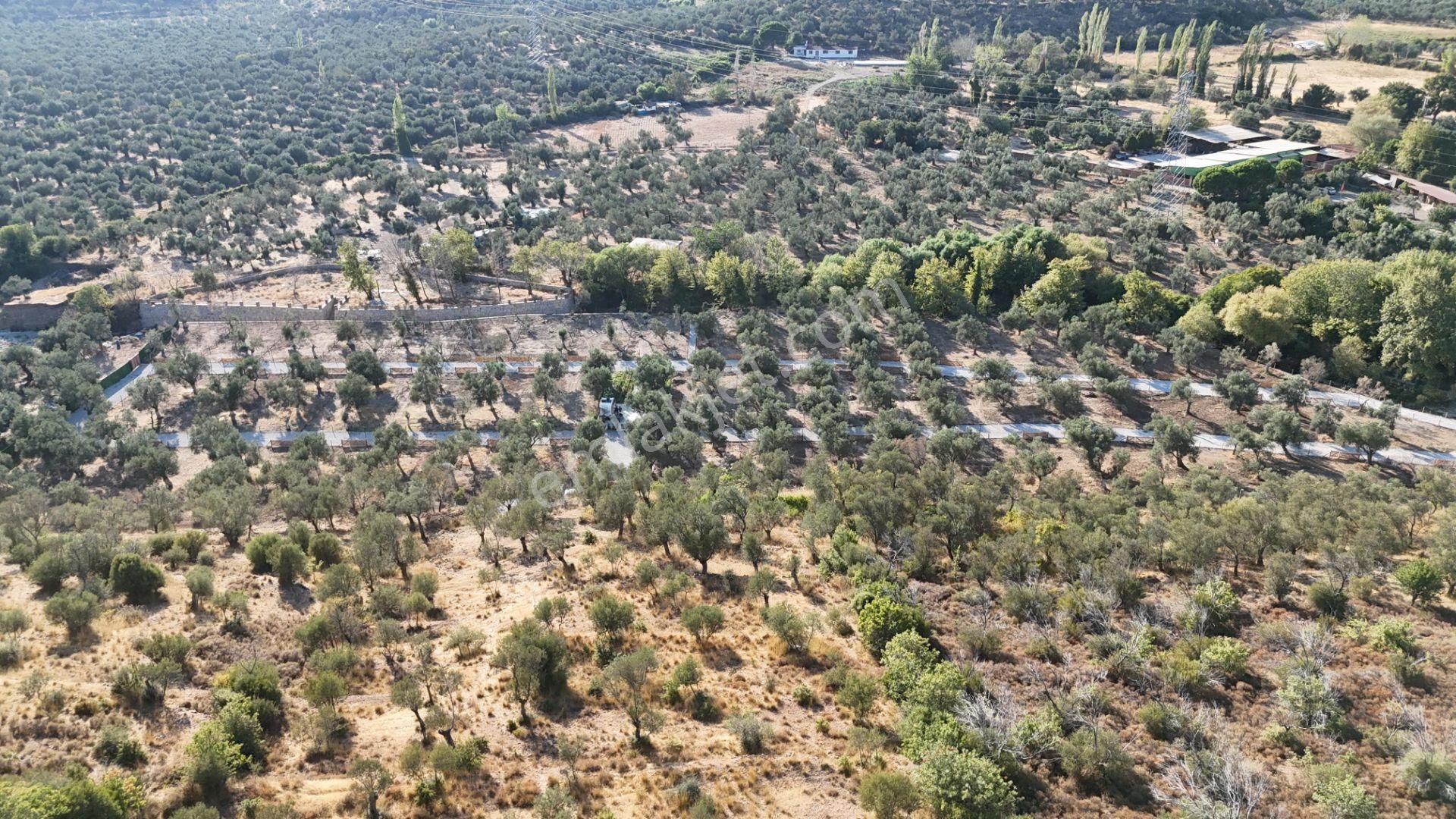 Parstan Akçaya Sınır Cemil Temelde Doğayla İç İçe Hobi Bahçeleri - Görsel 33