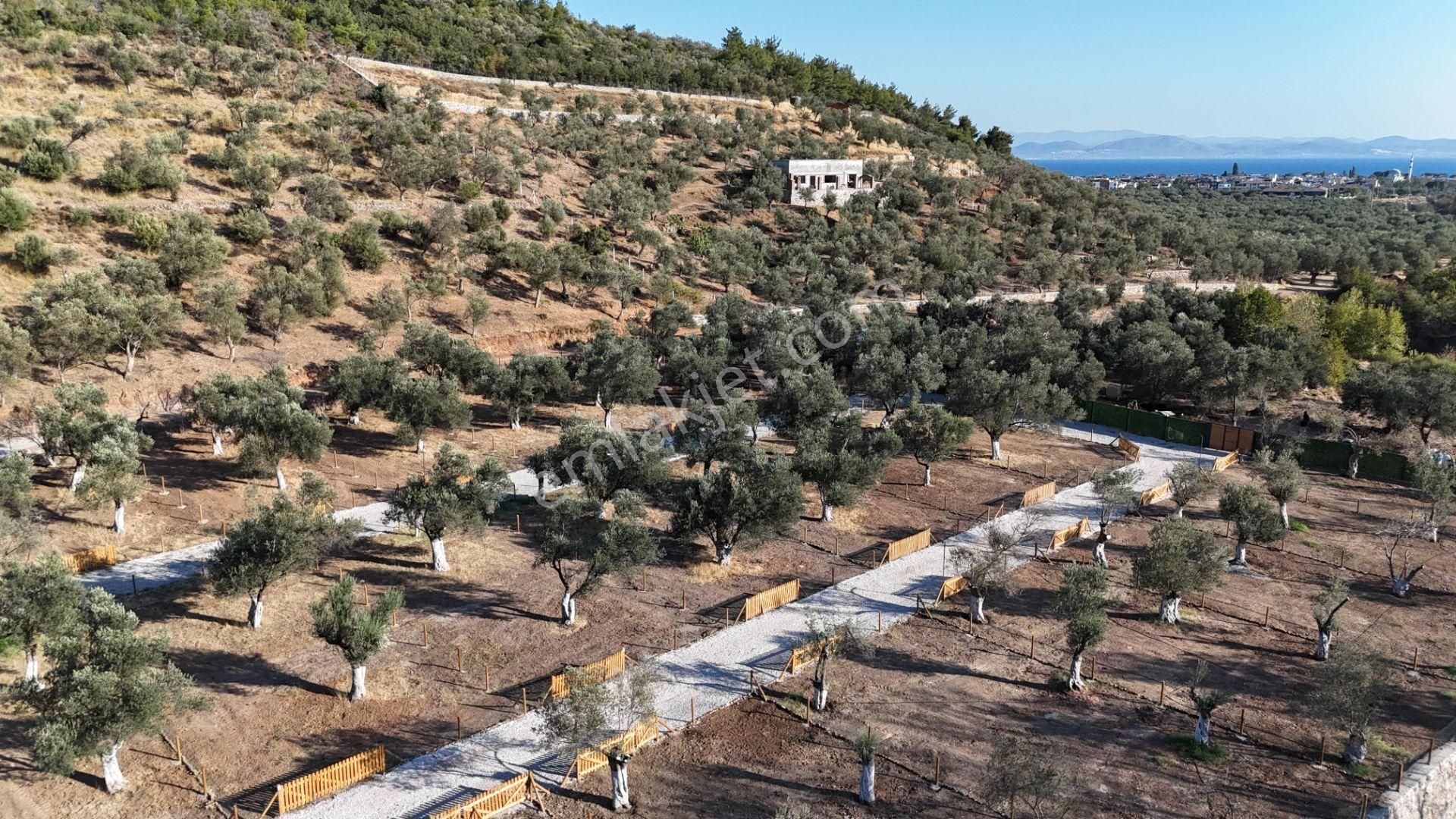 Parstan Akçaya Sınır Cemil Temelde Doğayla İç İçe Hobi Bahçeleri - Görsel 23