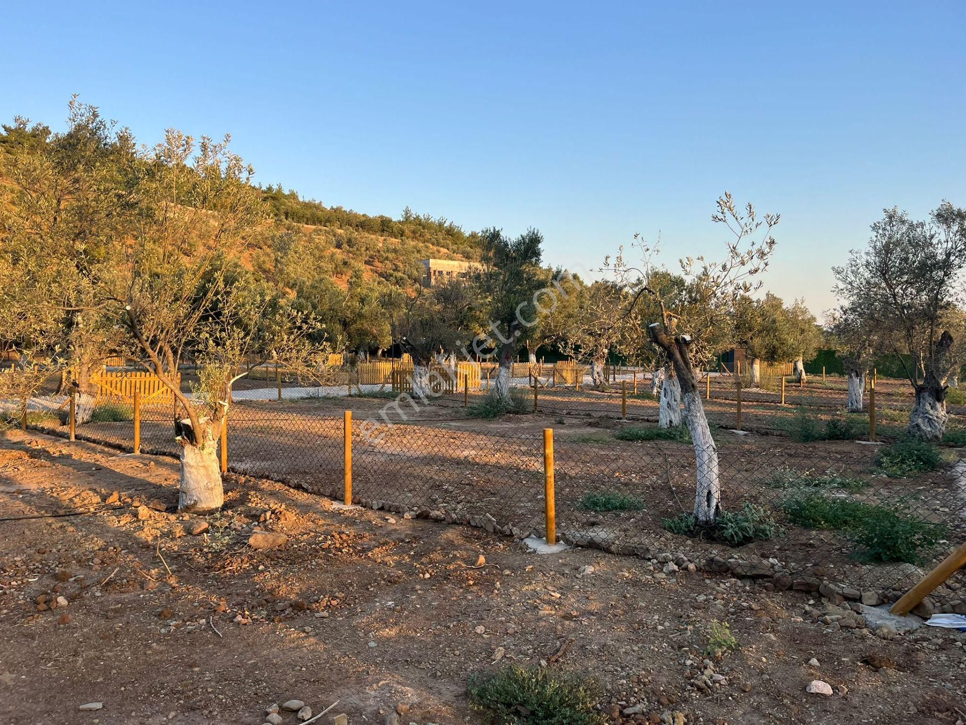Parstan Akçaya Sınır Cemil Temelde Doğayla İç İçe Hobi Bahçeleri - Görsel 15