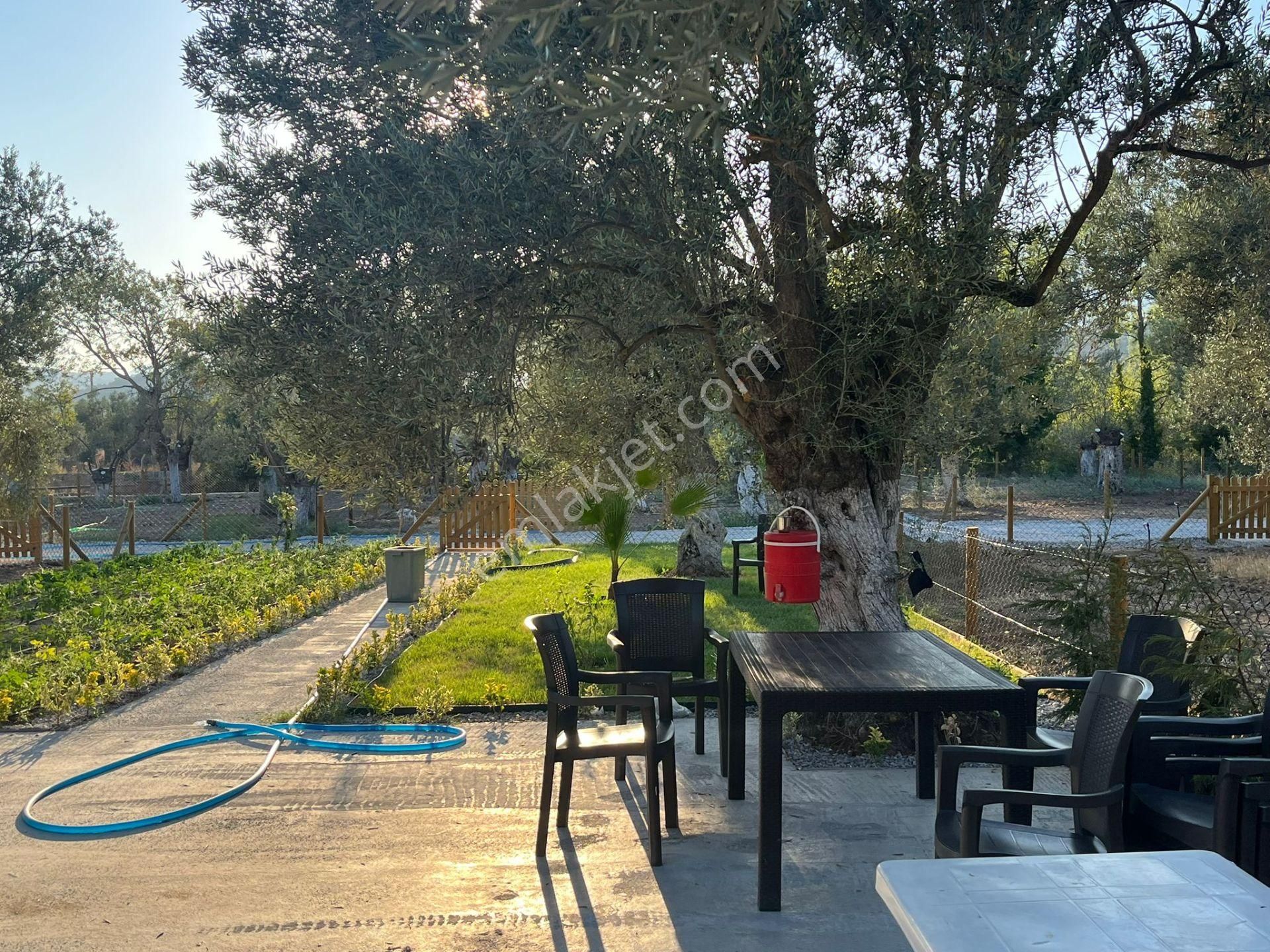 Parstan Akçaya Sınır Cemil Temelde Doğayla İç İçe Hobi Bahçeleri - Görsel 4