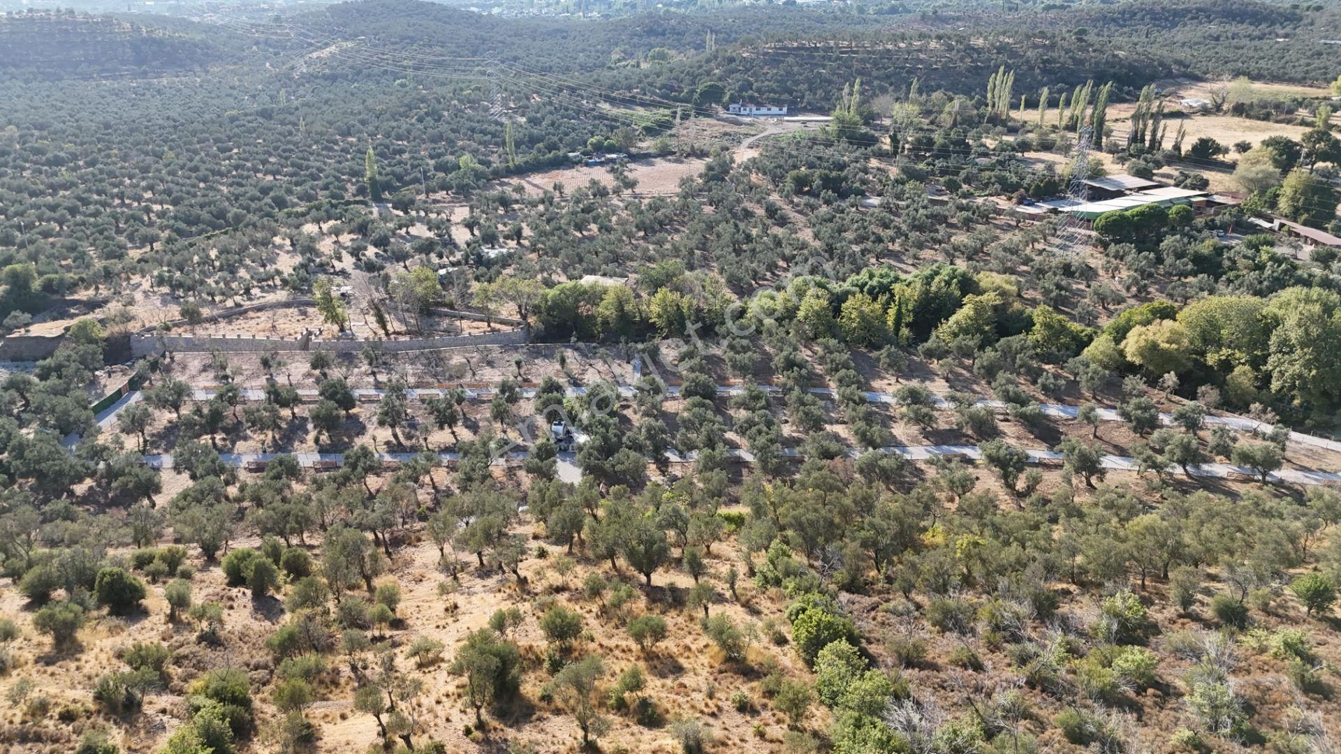 Parstan Akçaya Sınır Cemil Temelde Doğayla İç İçe Hobi Bahçeleri - Görsel 32