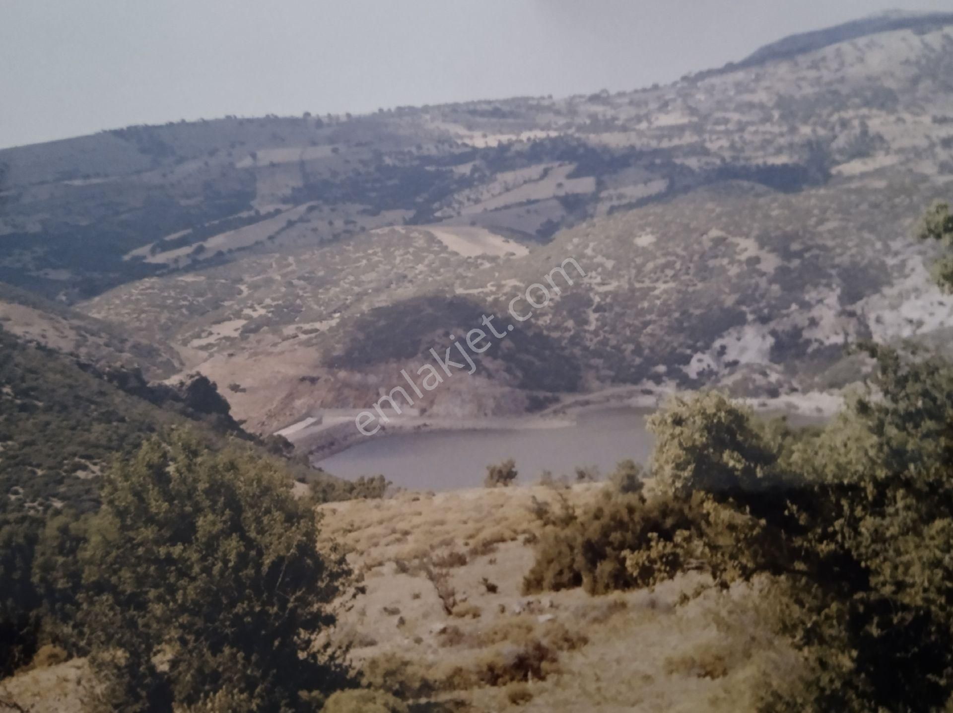 Ayvacık Köse Dere Deniz Gören 15 Dönüm Tarla - Görsel 7