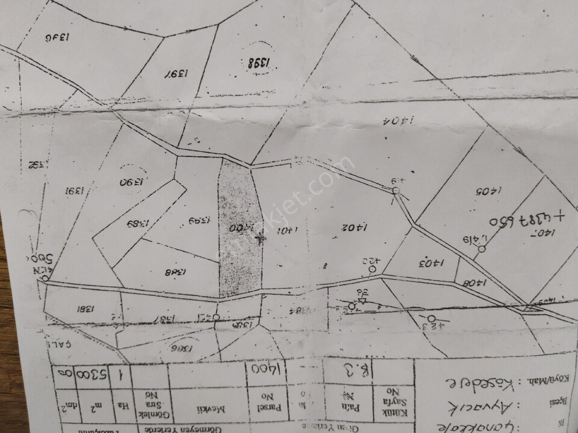 Ayvacık Köse Dere Deniz Gören 15 Dönüm Tarla - Görsel 8