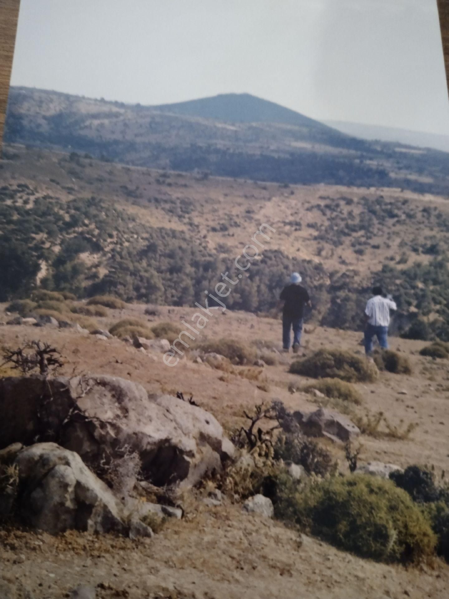 Ayvacık Köse Dere Deniz Gören 15 Dönüm Tarla - Görsel 13