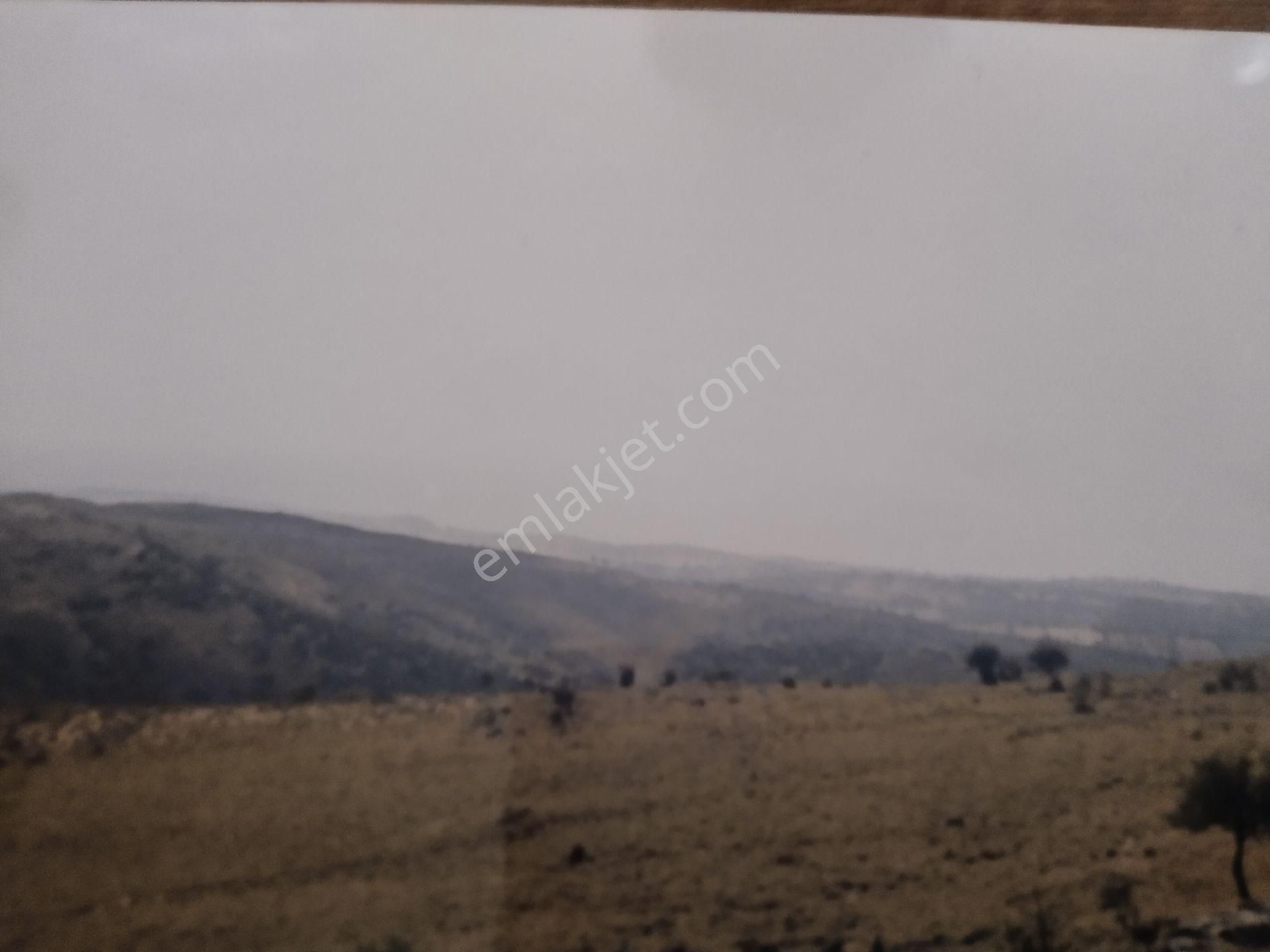 Ayvacık Köse Dere Deniz Gören 15 Dönüm Tarla - Görsel 14