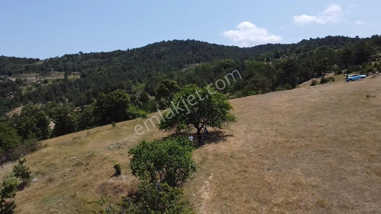 Bursa Orhaneli Göynükbelende Köye Yakın Arazi - Görsel 8