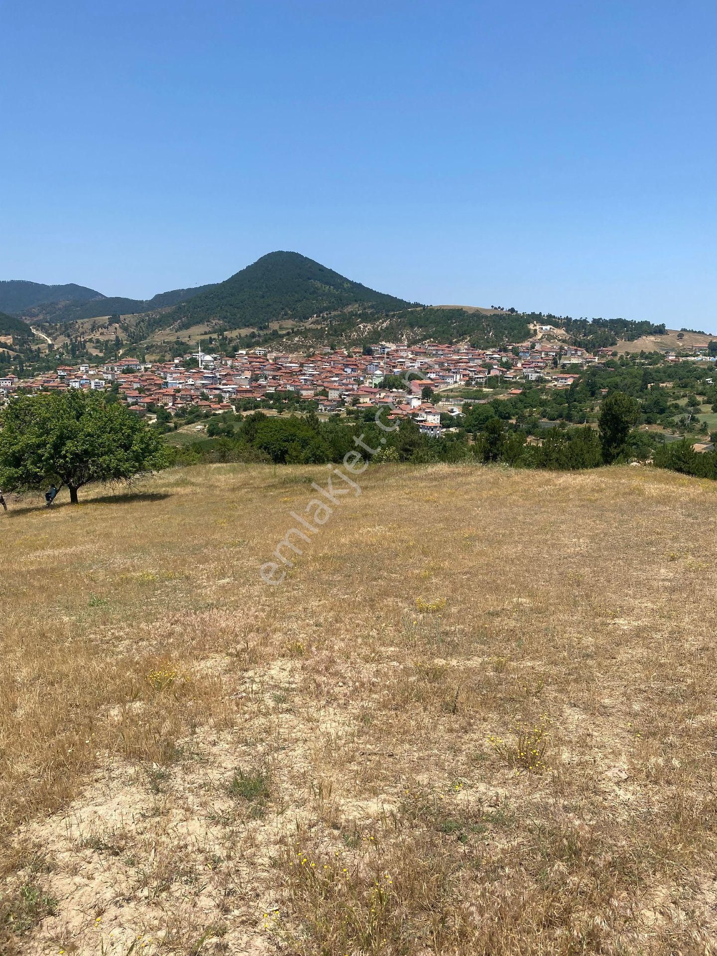 Bursa Orhaneli Göynükbelende Köye Yakın Arazi - Görsel 2