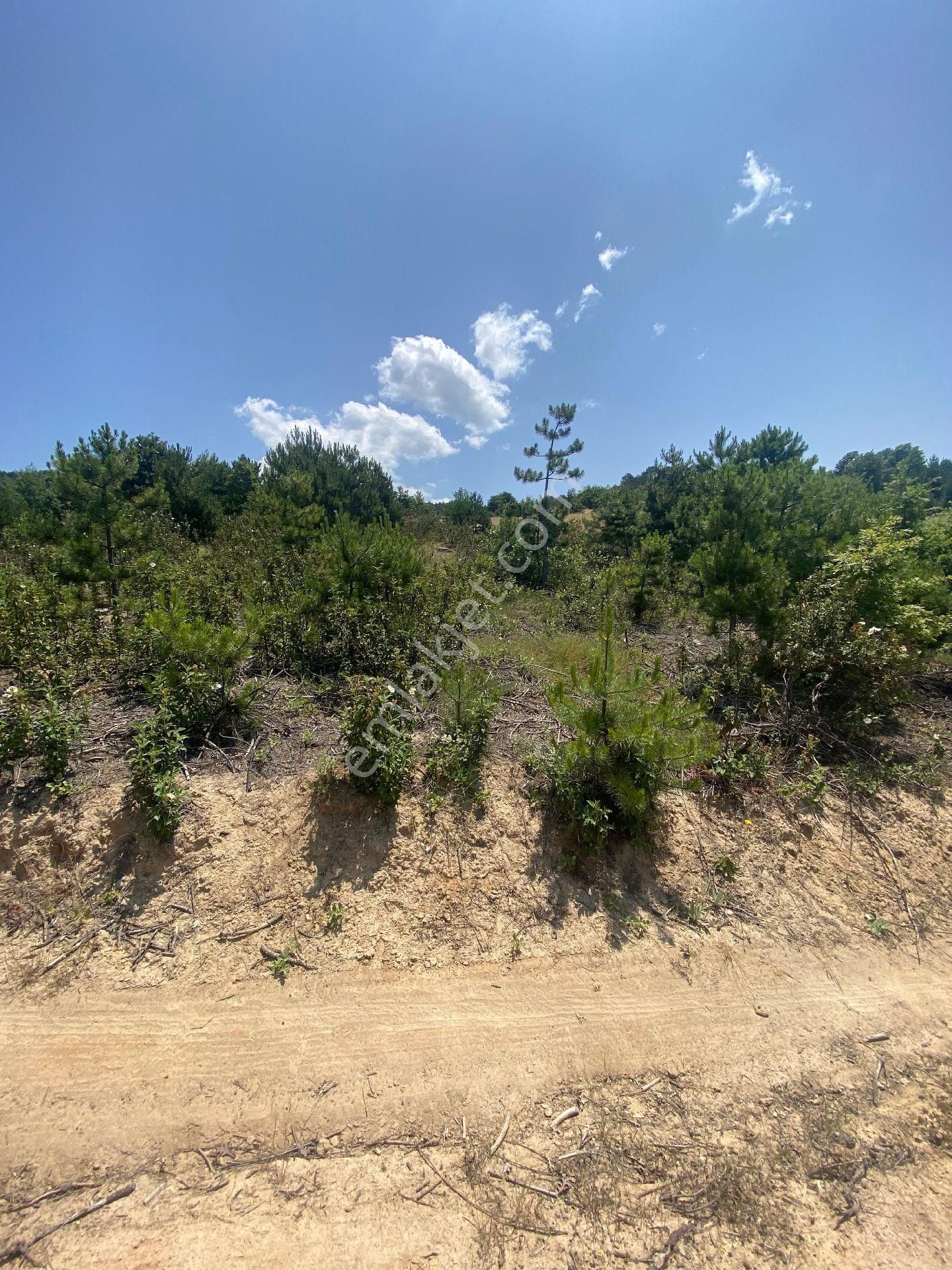 Bursa Orhaneli Göynükbelende Köye Yakın Arazi - Görsel 20