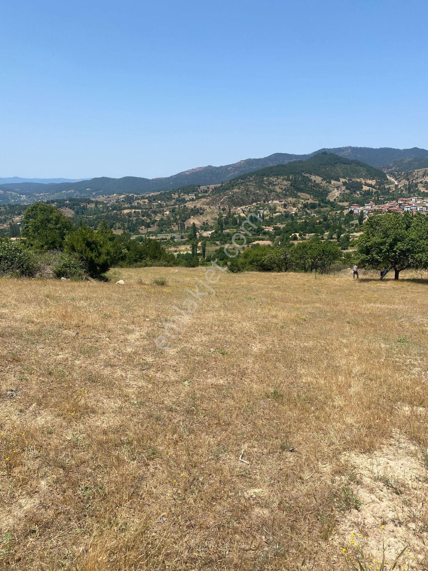 Bursa Orhaneli Göynükbelende Köye Yakın Arazi - Görsel 3